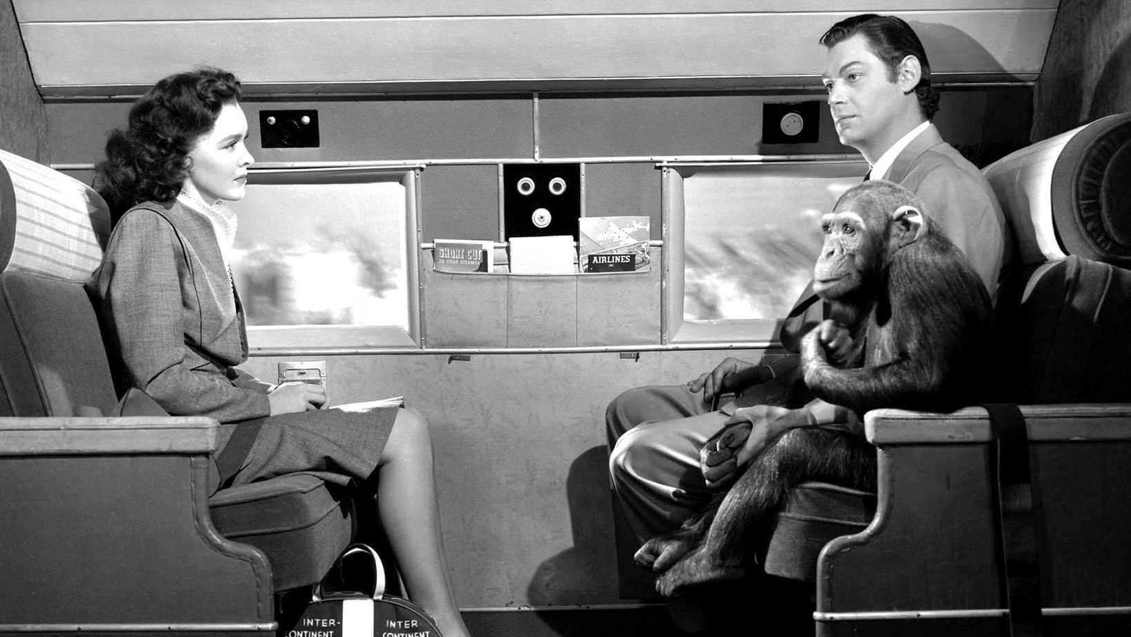 Les Aventures de Tarzan à New York