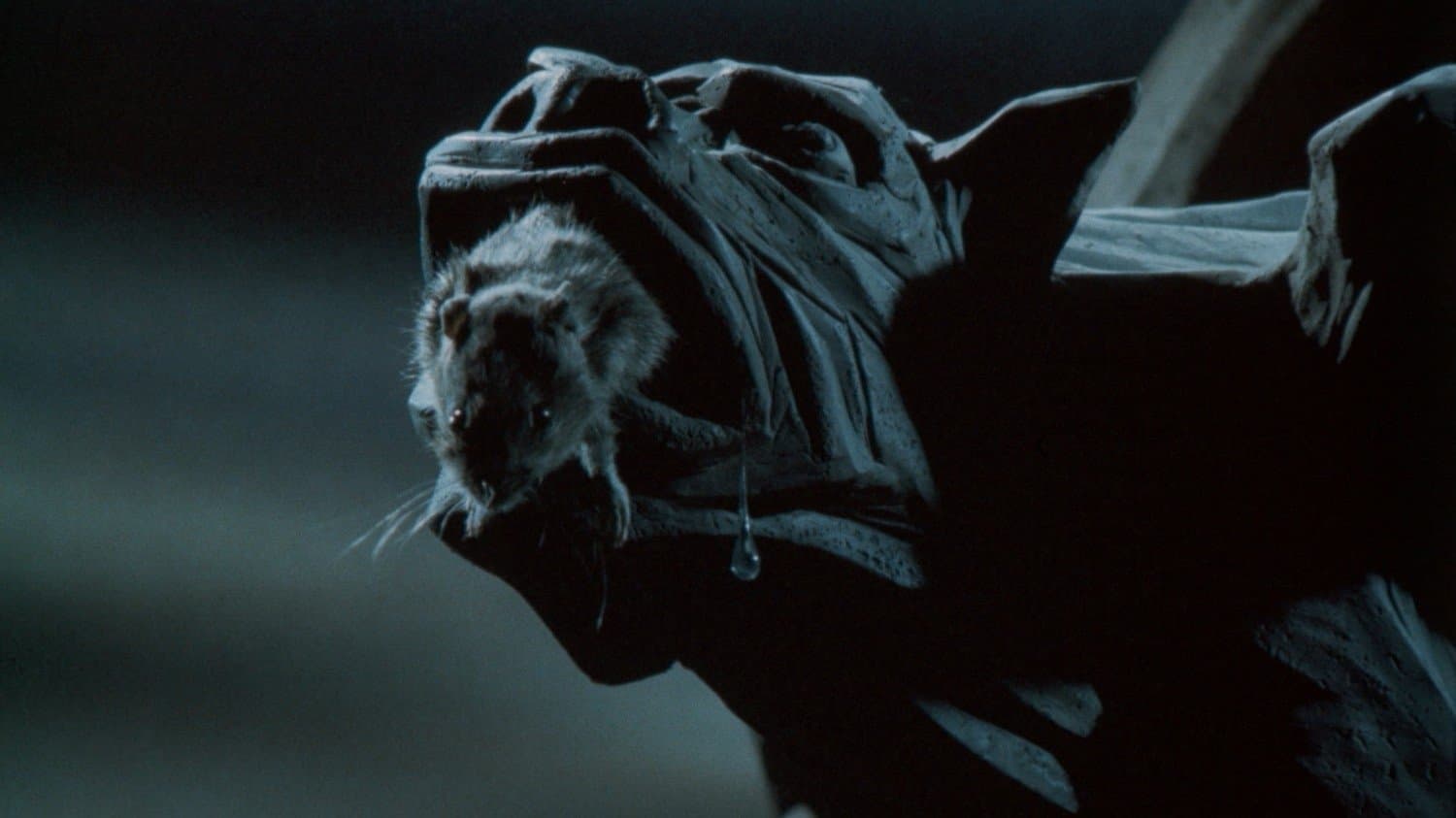 Krysar, le joueur de flûte de Hamelin