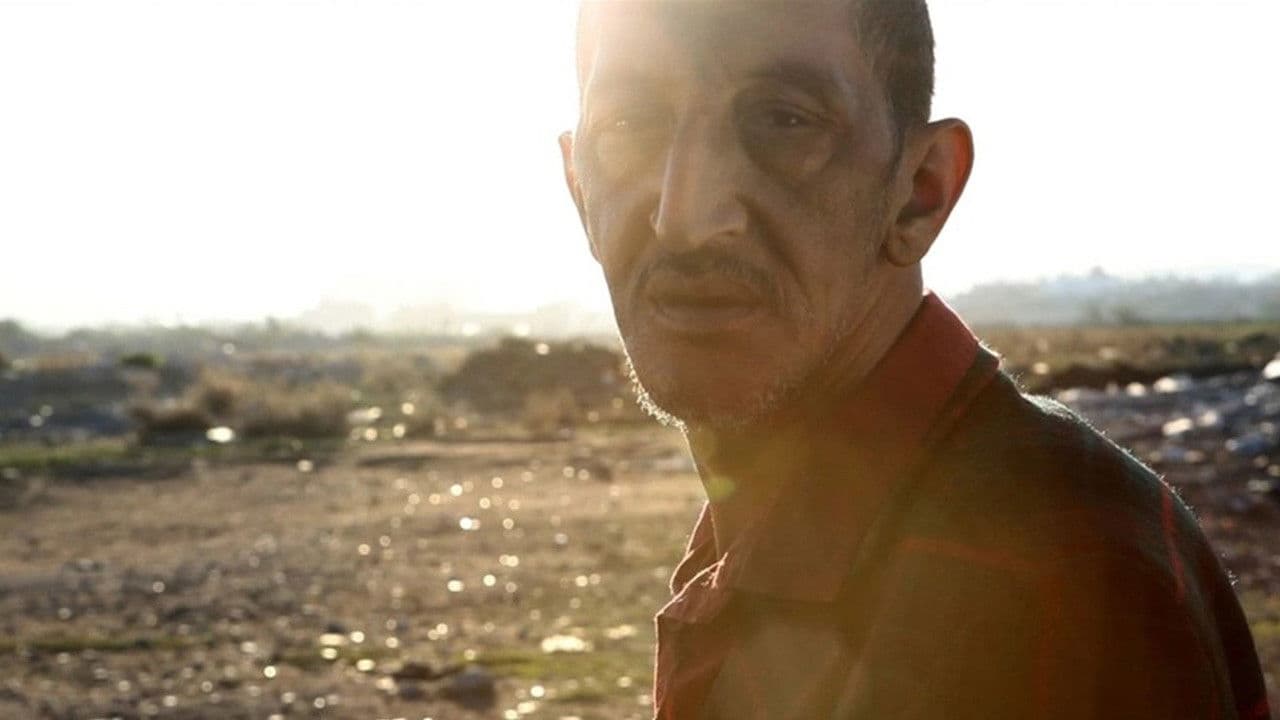 C'est eux les chiens...