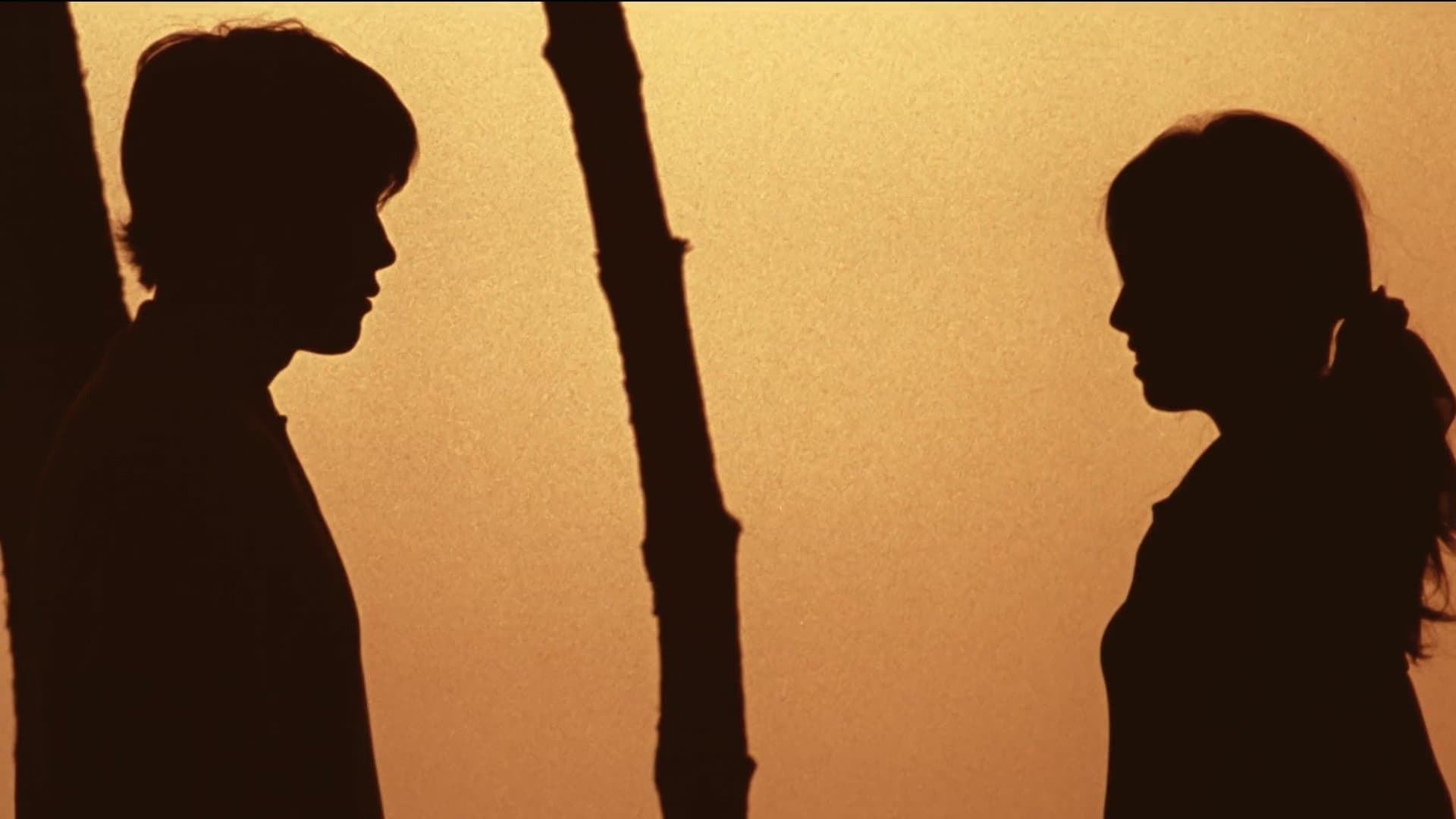 Bungee Jumping of their Own