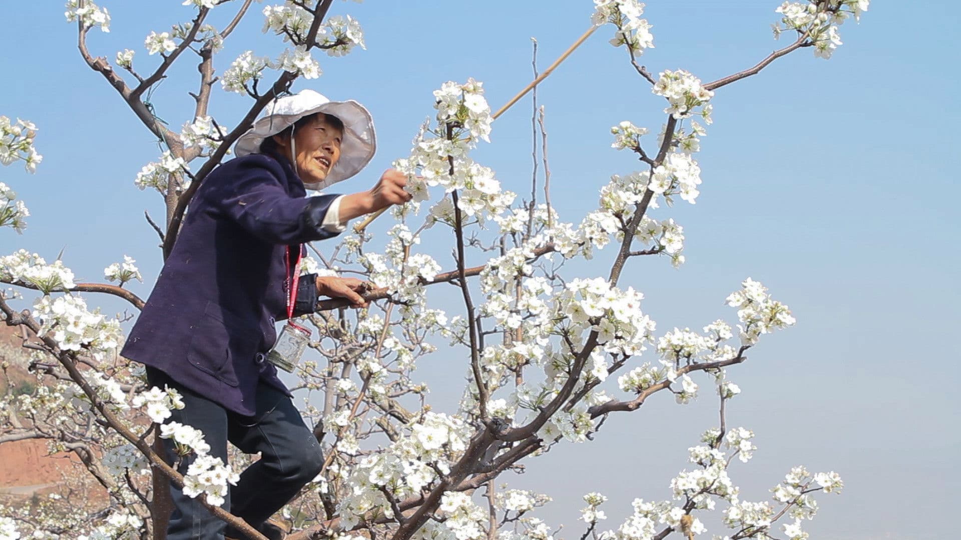Chine - La terre muette