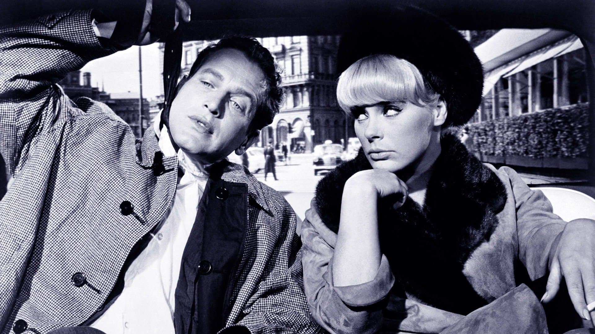 Pas de lauriers pour les tueurs