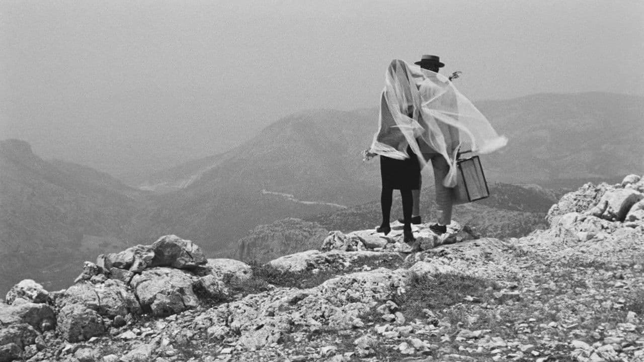 Les pâtres du désordre