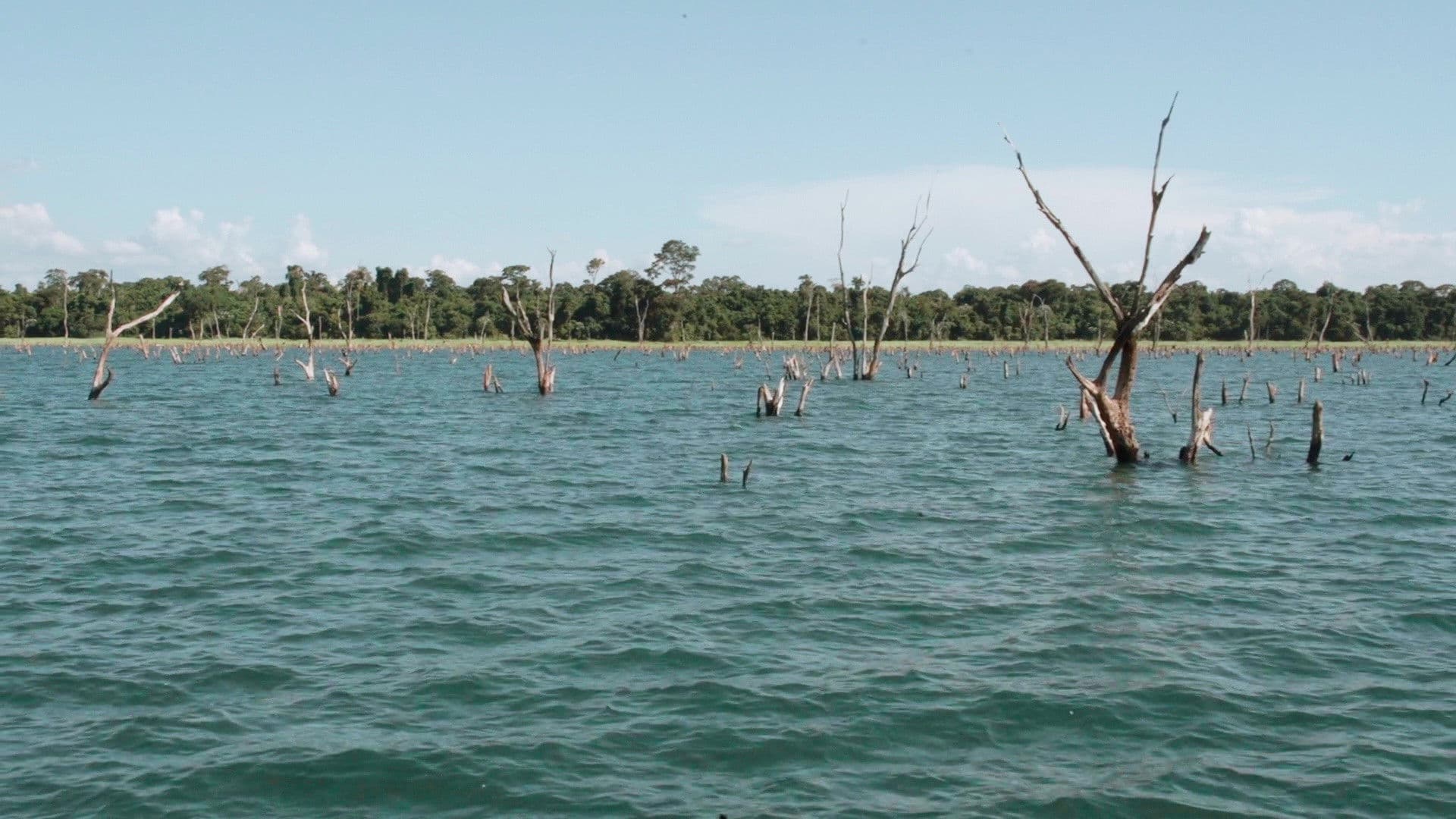 Ontem Lembrei de Minha Mãe