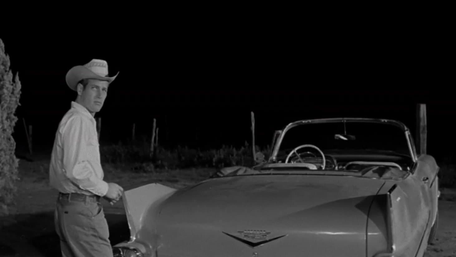 Le Plus Sauvage d'entre tous