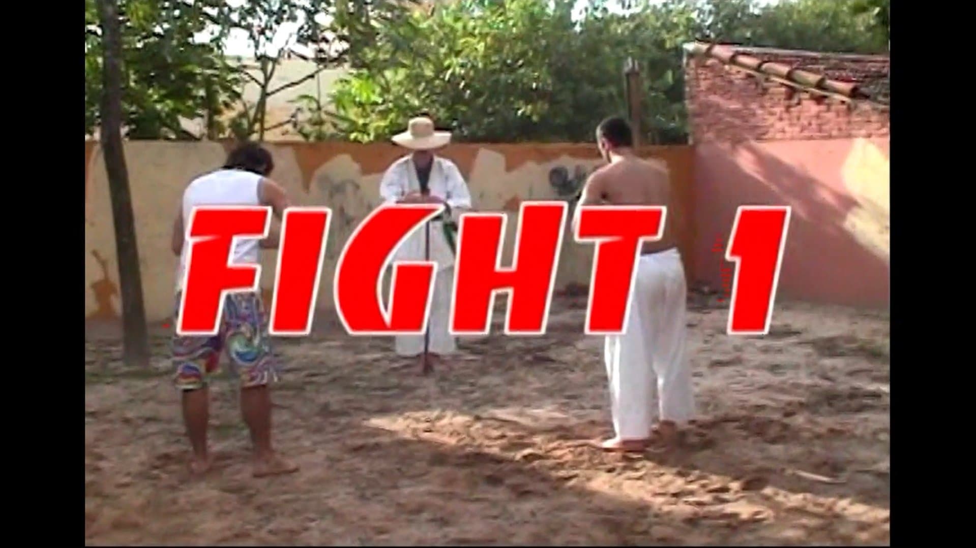 A Vingança do Ninja