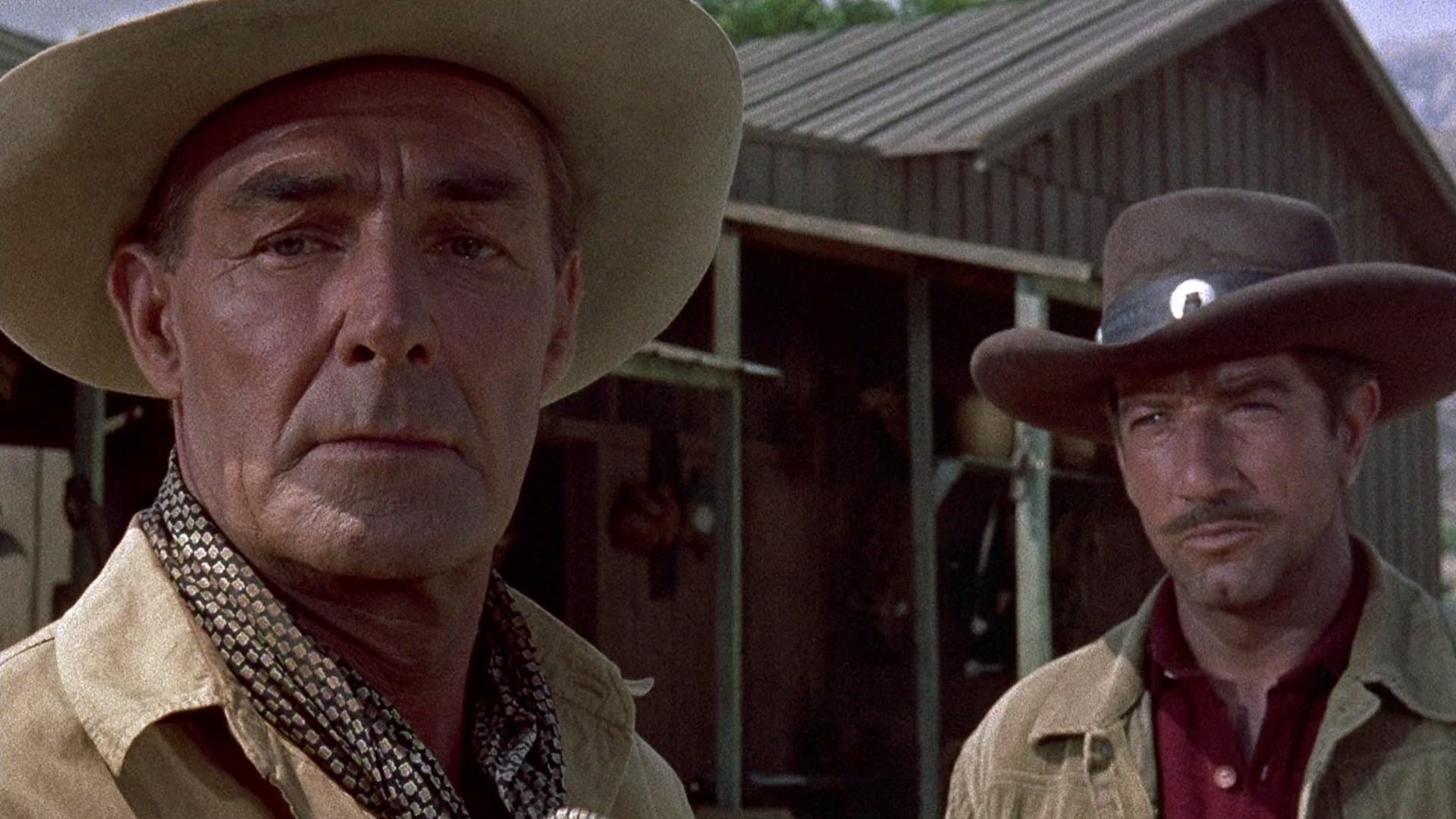 L'Homme De l'Arizona