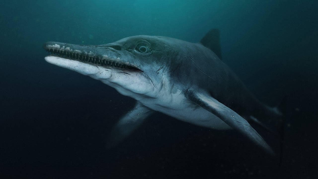 L'Enigme Du Dragon Des Mers