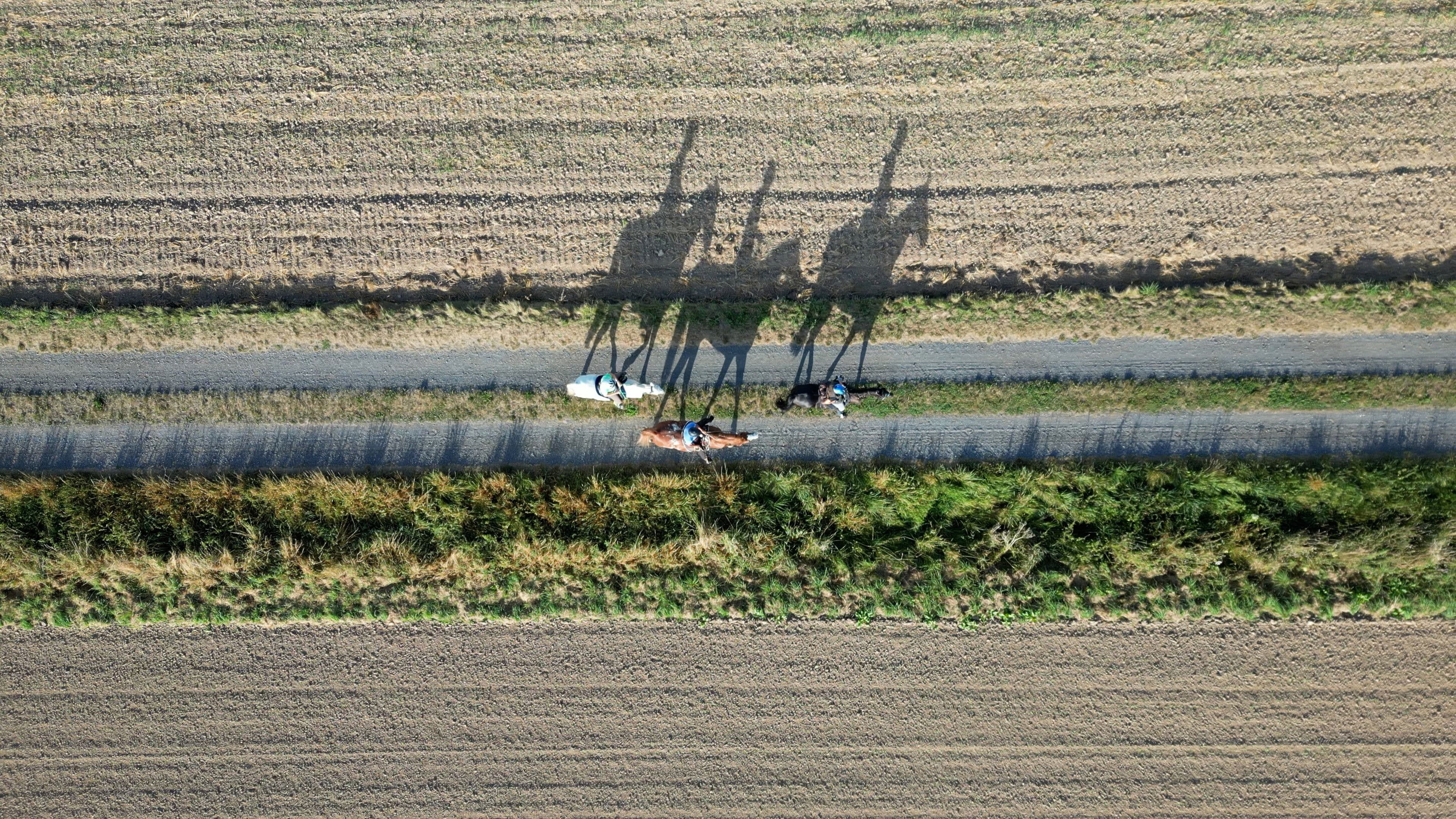 TransGermania - Vom Alpenrand zum Meeresstrand