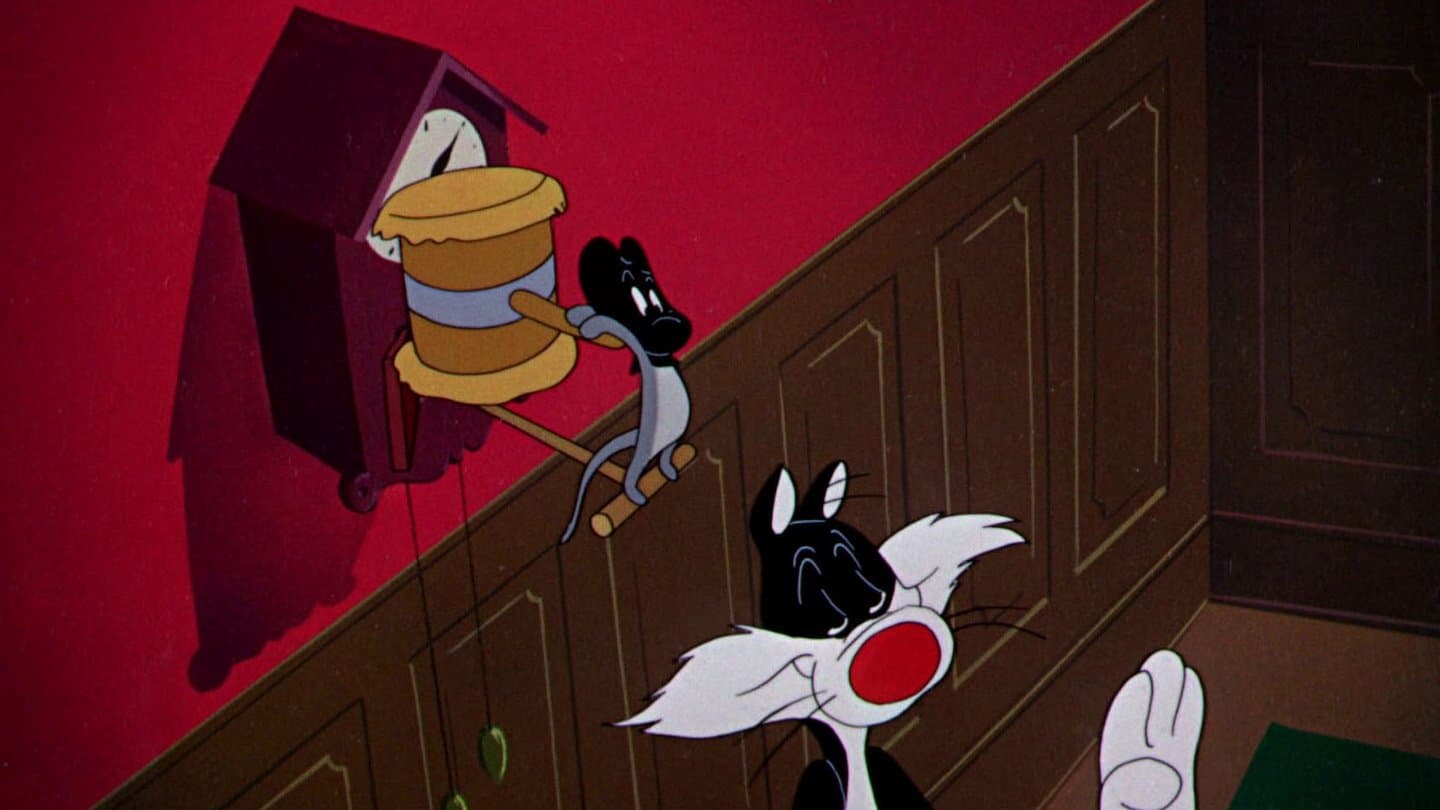 Le charivari du chat viré