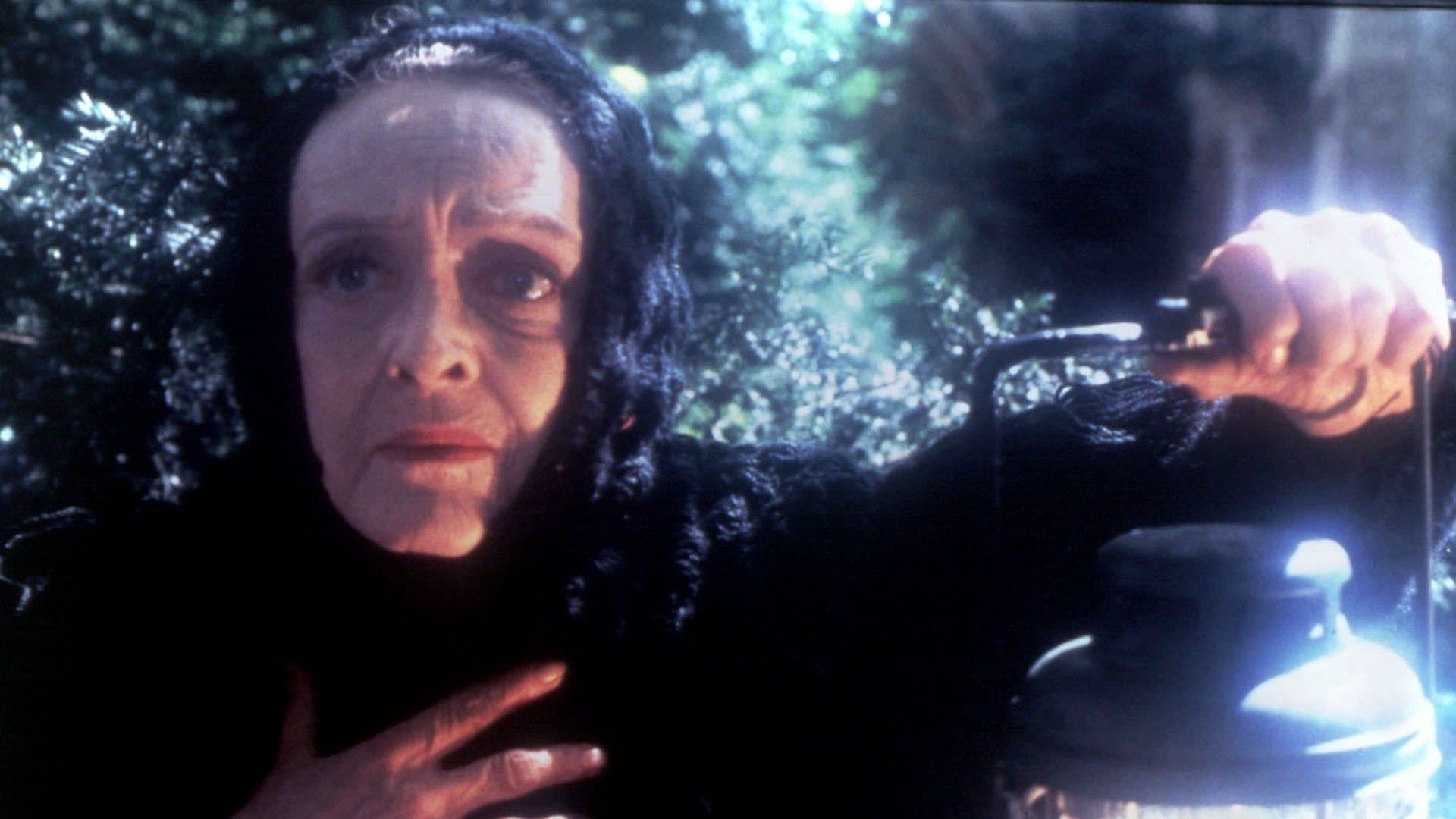 Les Yeux de la forêt