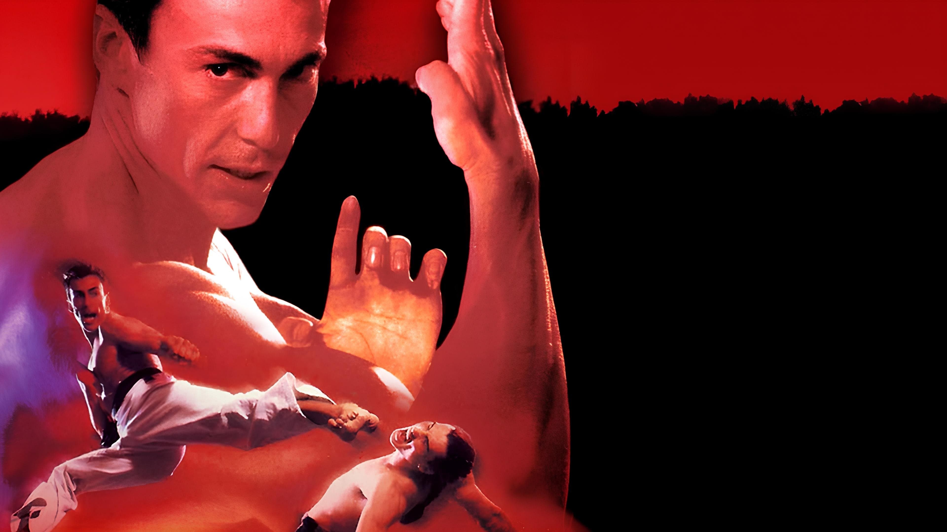 Bloodsport 2