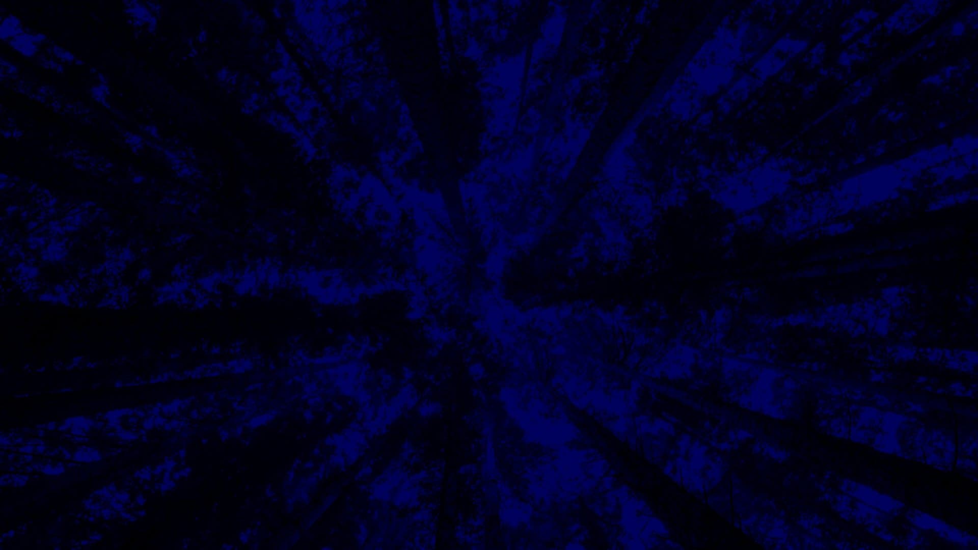 New York City Opera: A Little Night Music