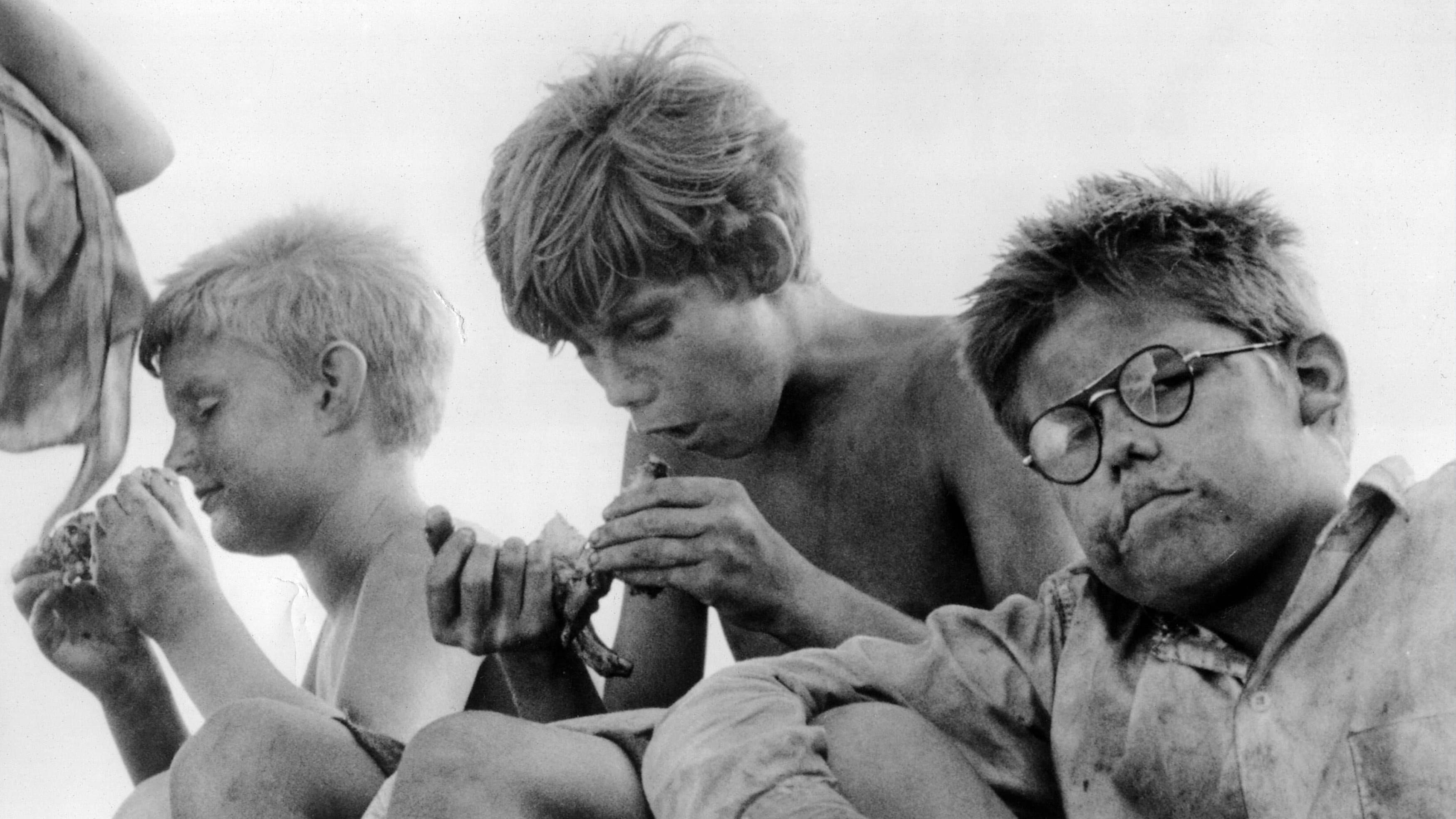 Sa Majesté des Mouches