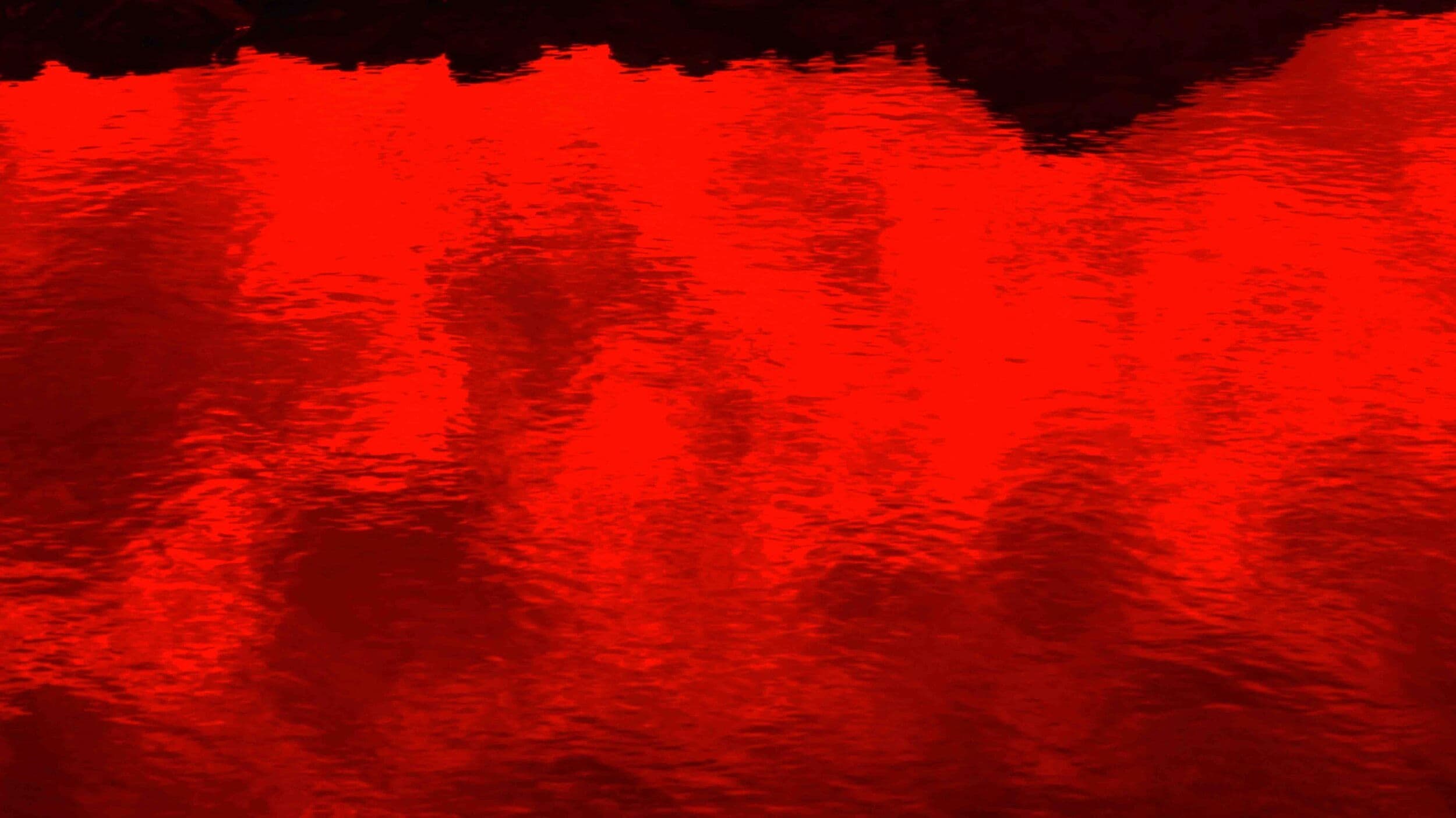 “레드필터가 철회됩니다.”