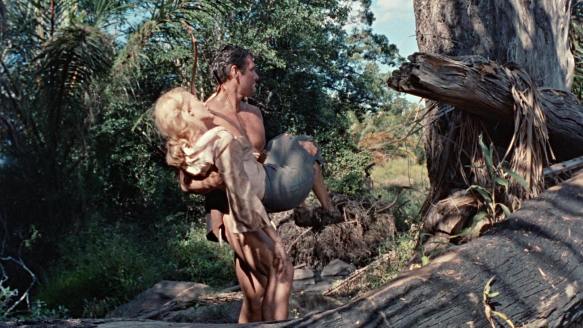 La Plus Grande Aventure de Tarzan