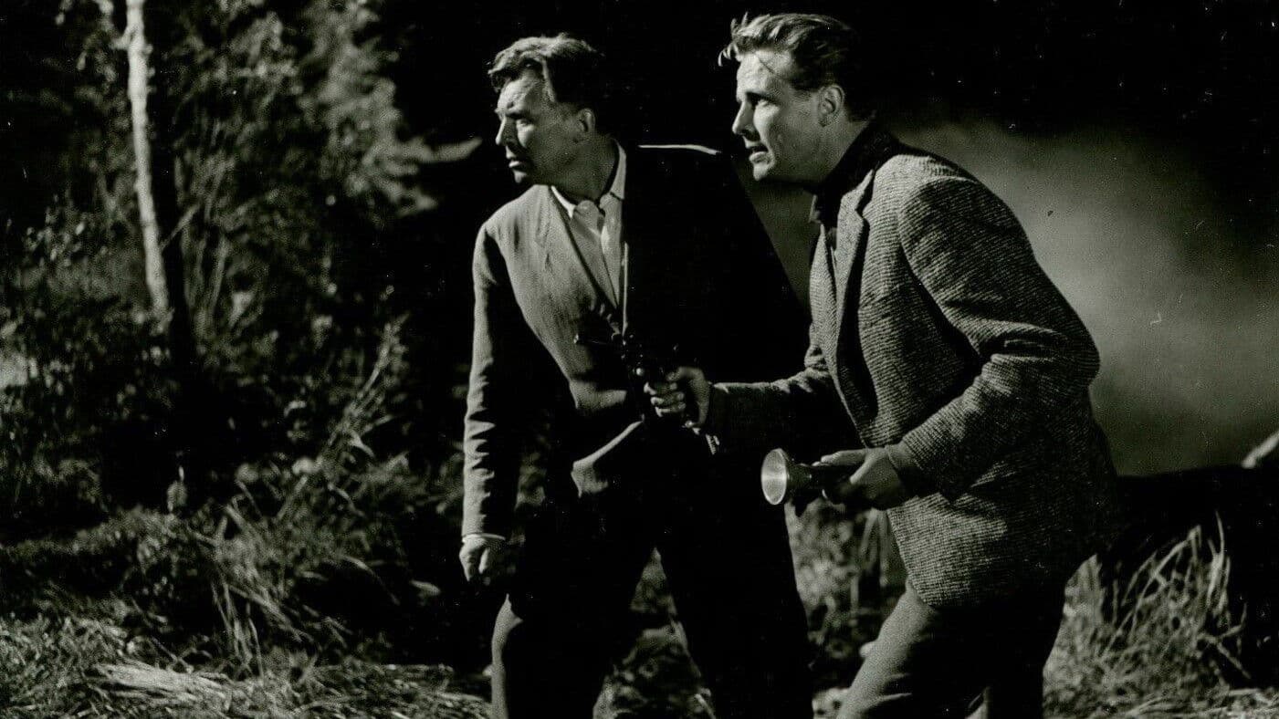 Der Schatz vom Toplitzsee