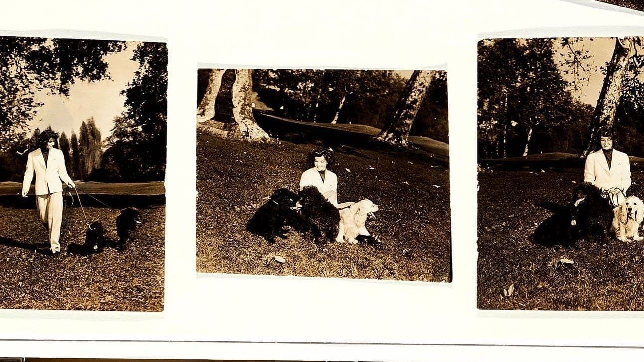 Call me Kate : Katharine Hepburn, une actrice de légende