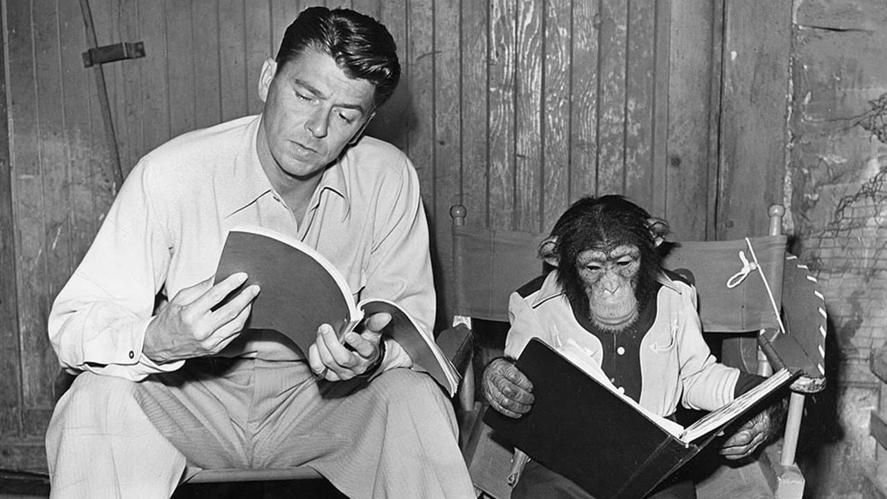 Les Aventures de Bonzo