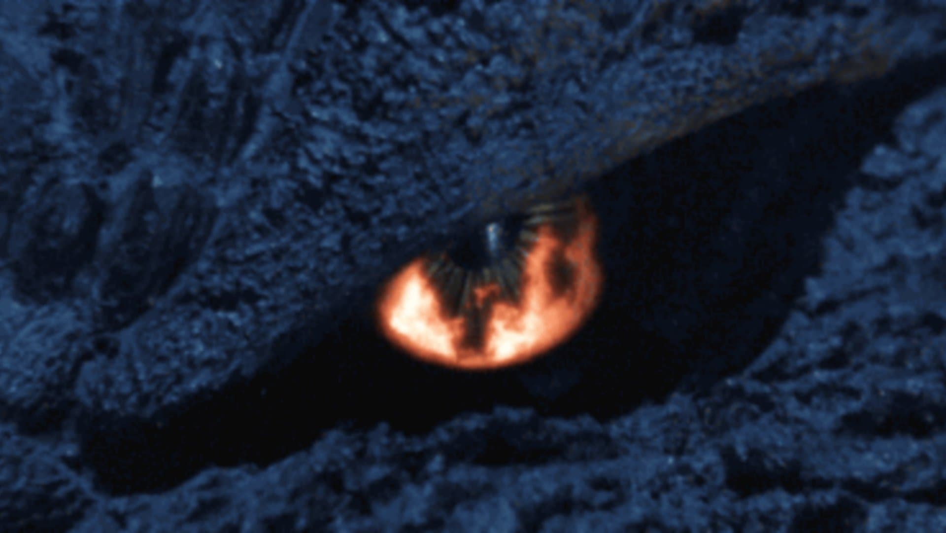 Godzilla: Final wars