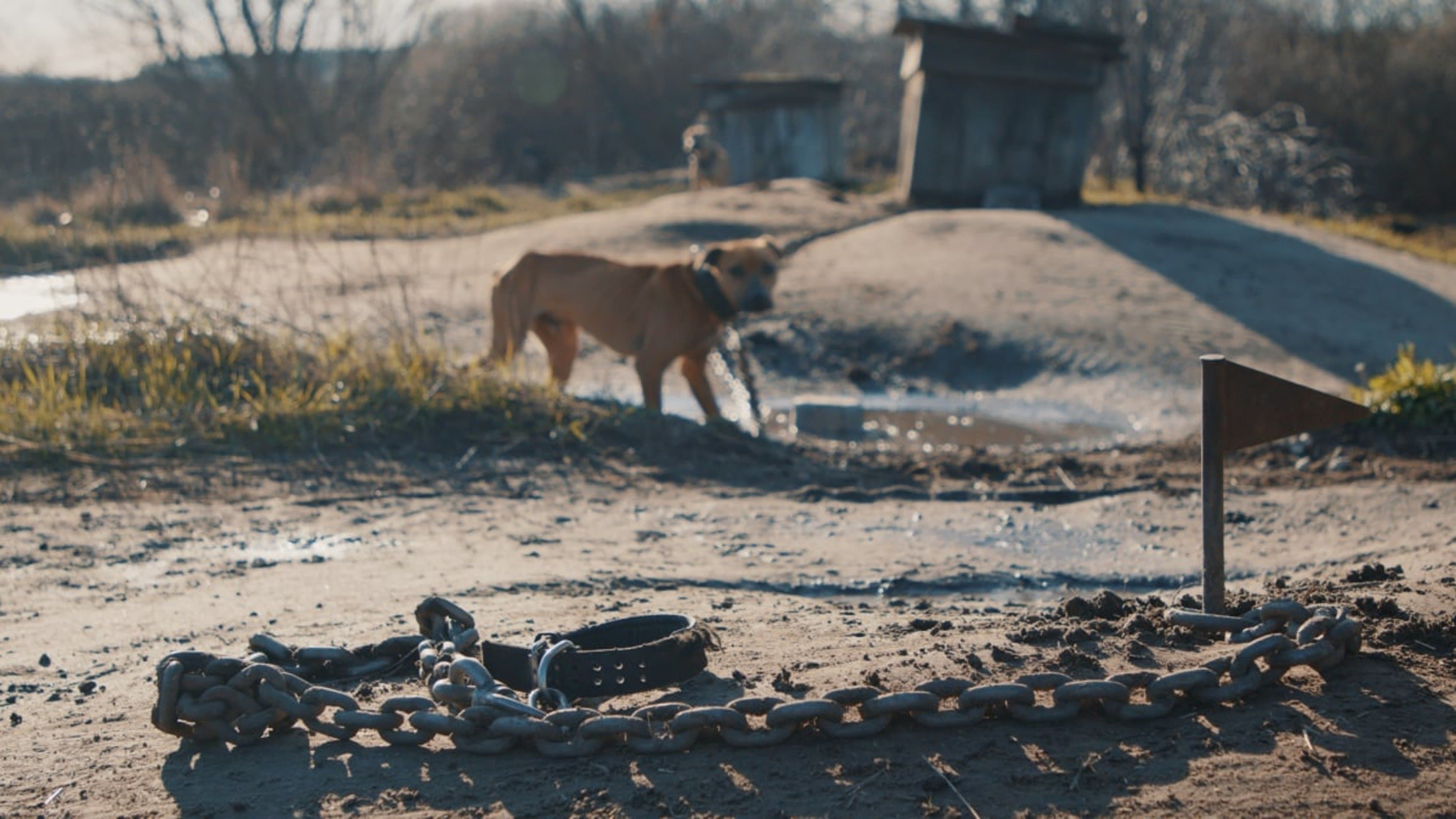 У пошуках Ніки