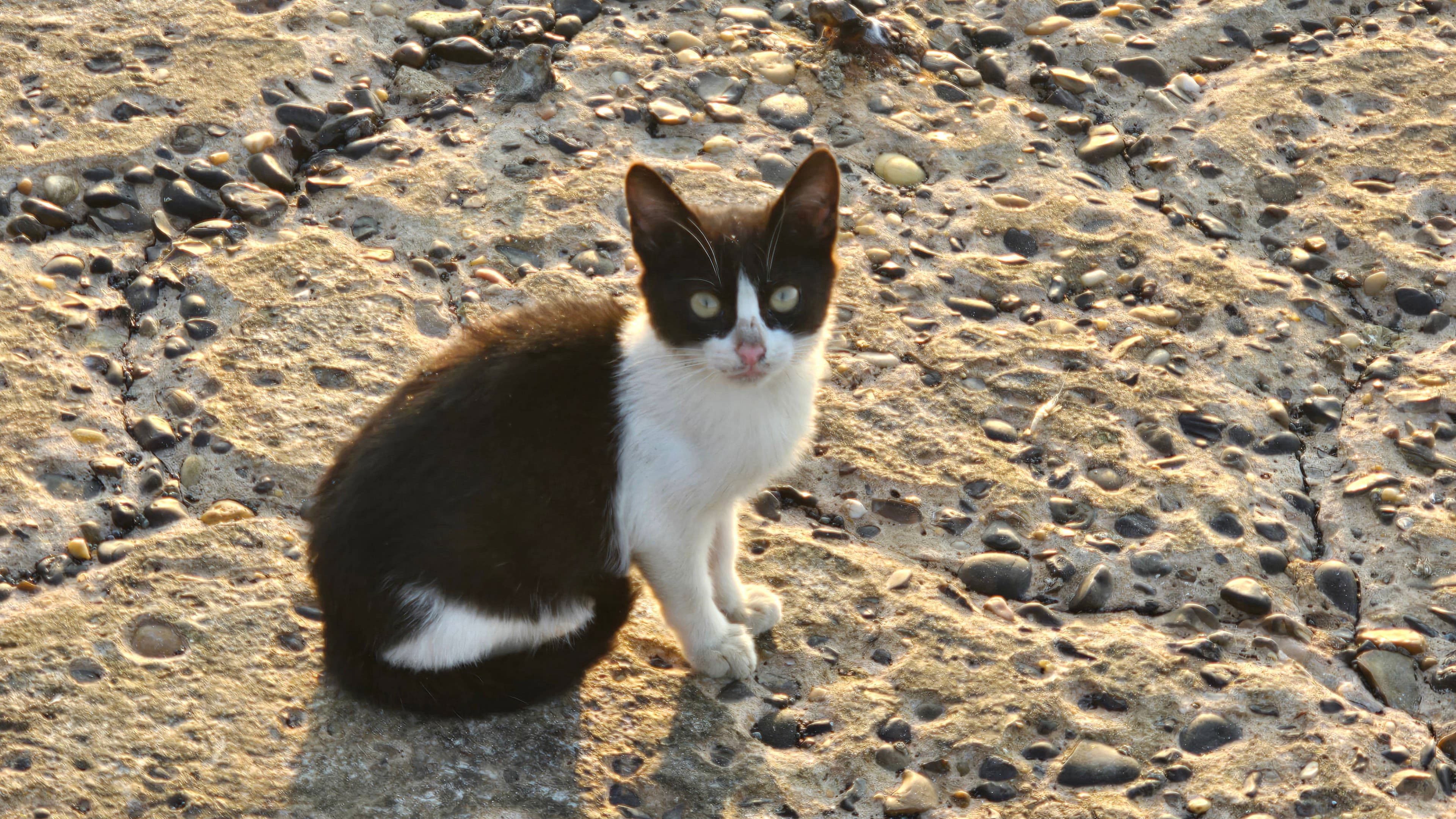قصائد حب الجزء الثاني: الإسكندرية