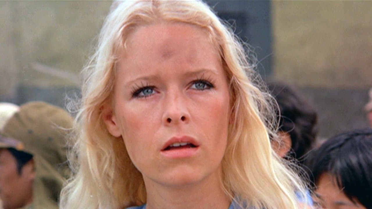 Camp d’amour pour chiens jaunes