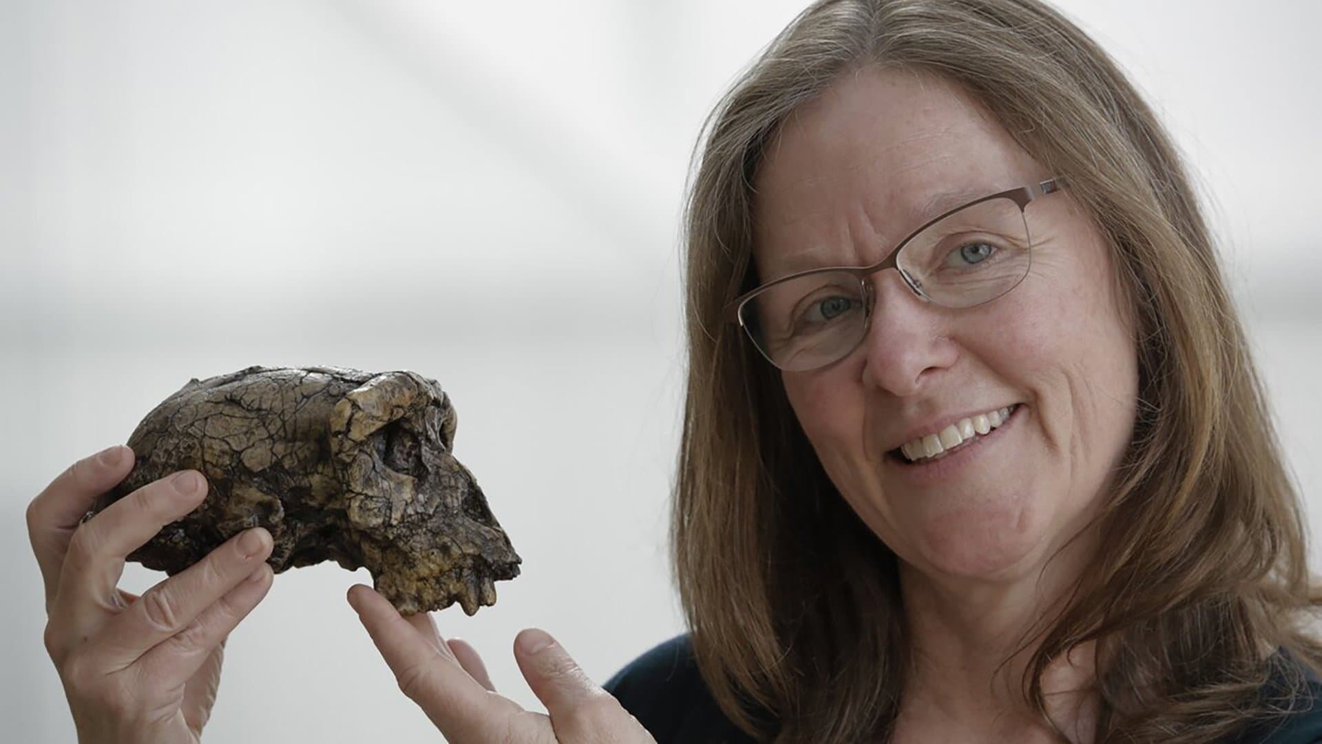 L'Europe, le berceau de l'humanité ?