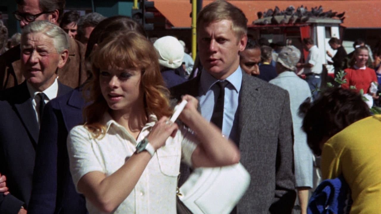 Die jüngsten Kätzchen sind die schärfsten