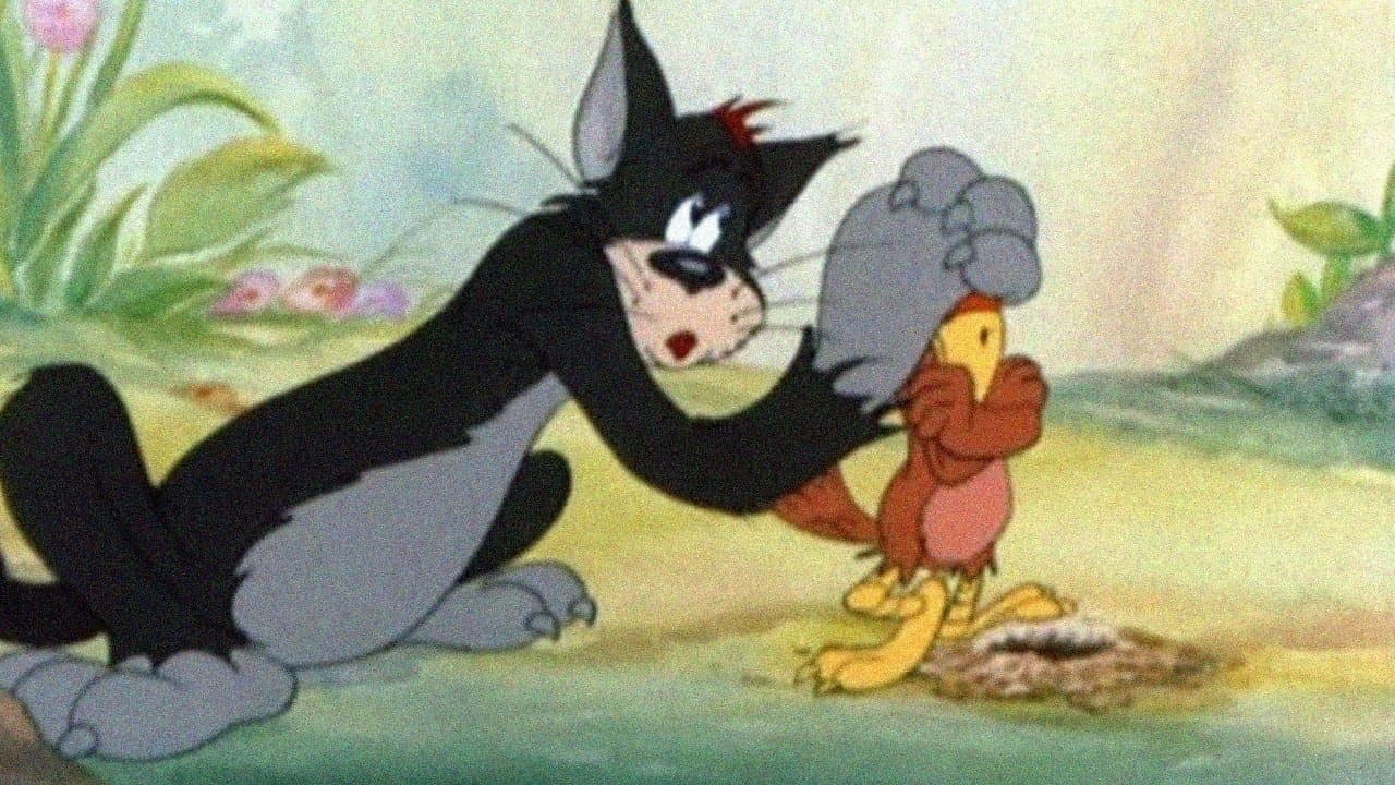 Un oiseau de mauvaise augure