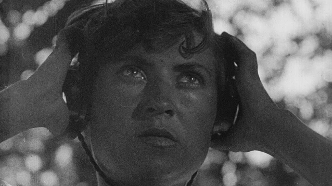 La Symphonie du Donbass