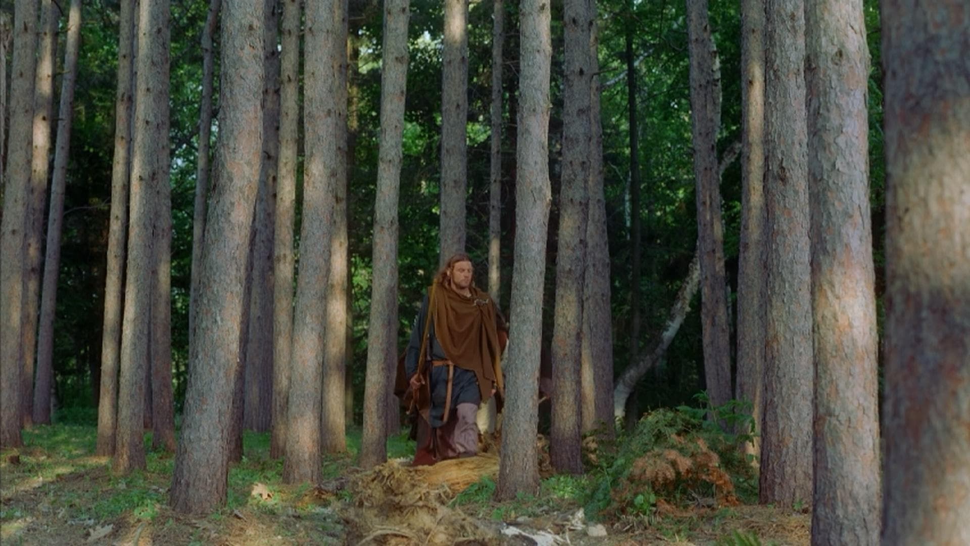 Vikings - Journey to the New Worlds