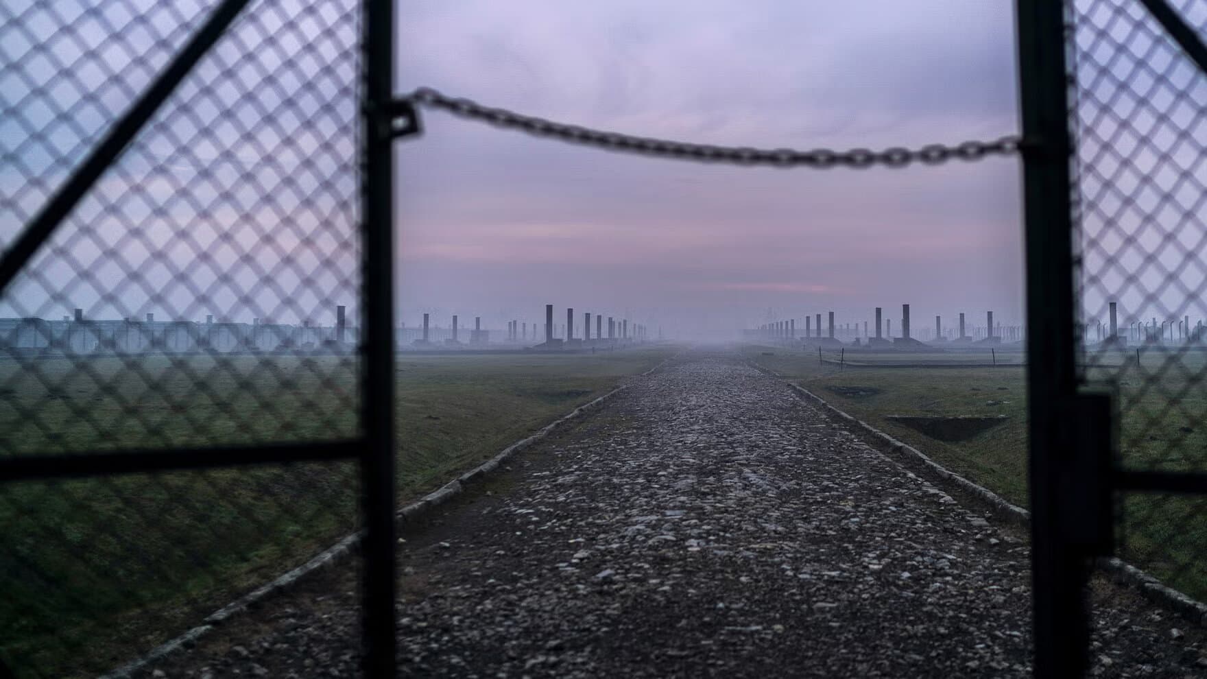 Auschwitz : Derniers Jours Dans Les Ténèbres