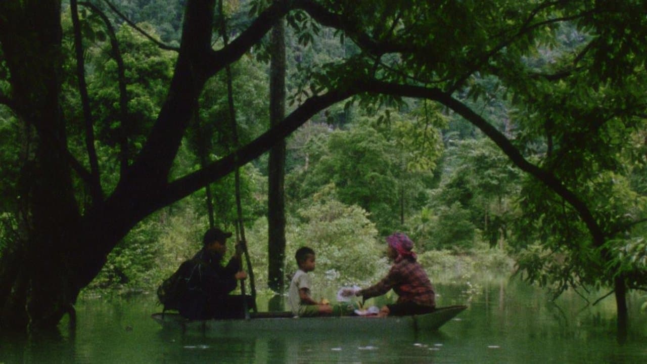 Tóc, giấy và nước...