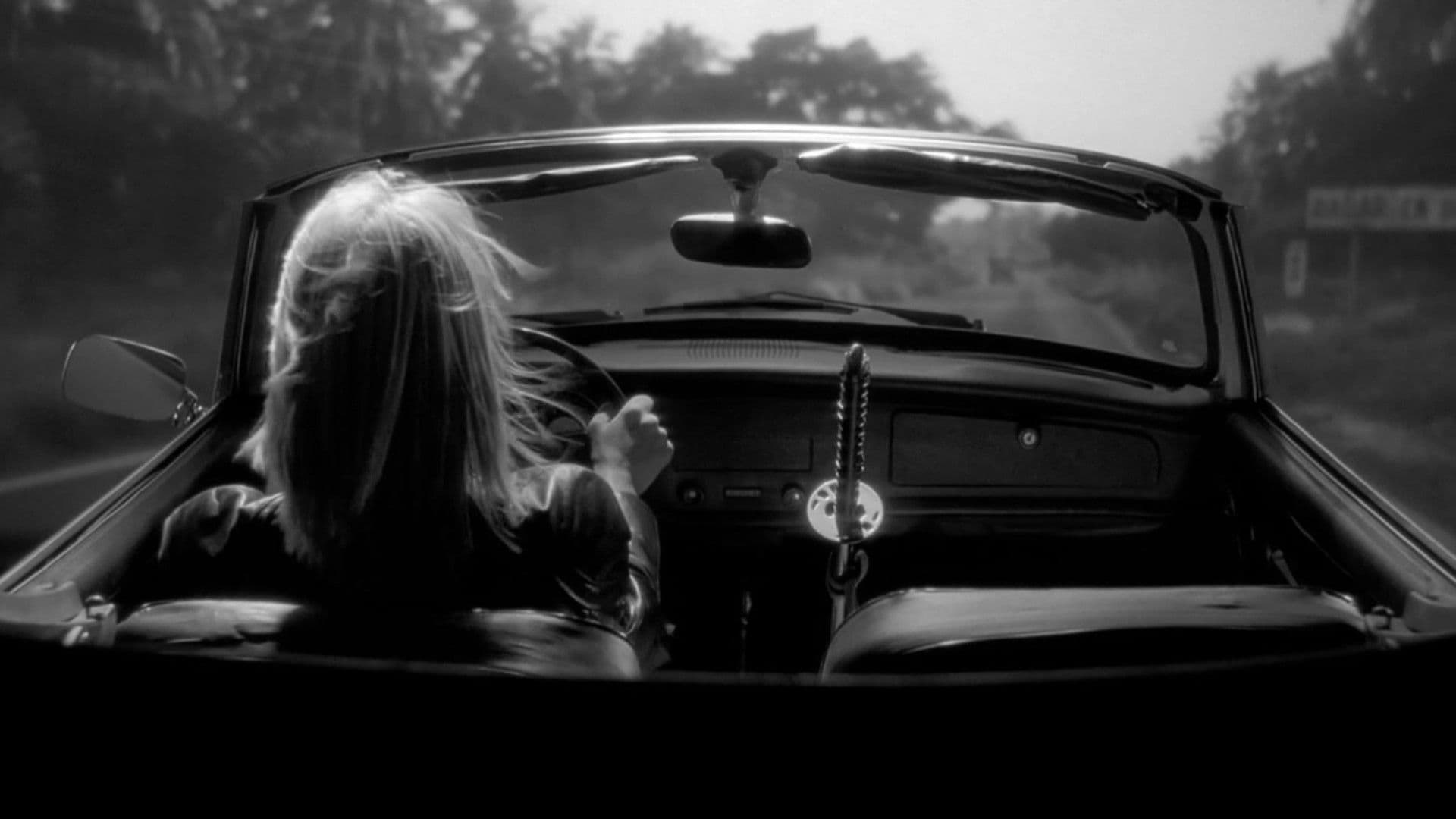 Kill Bill : The Whole Bloody Affair