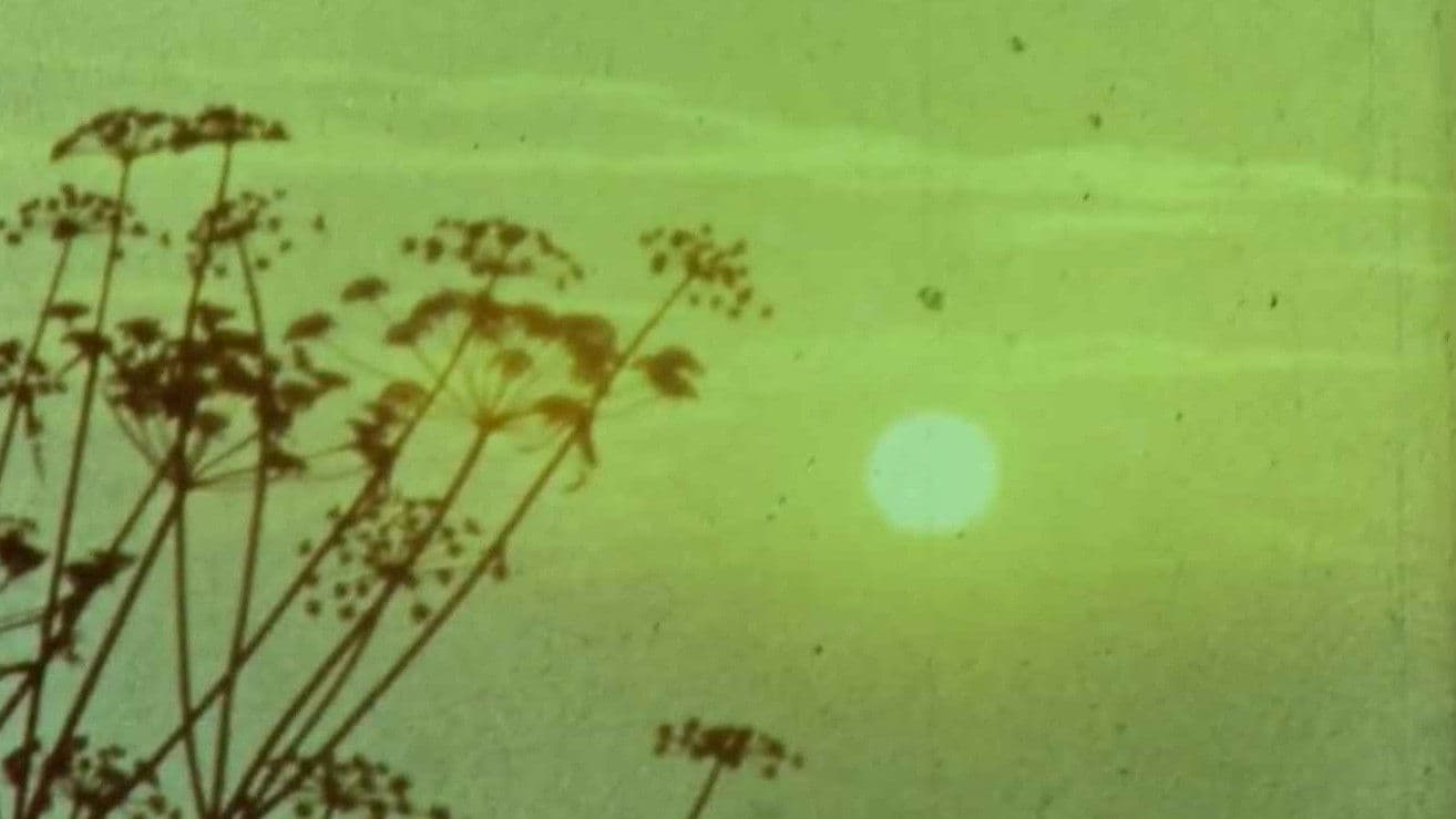 Мої вихідні