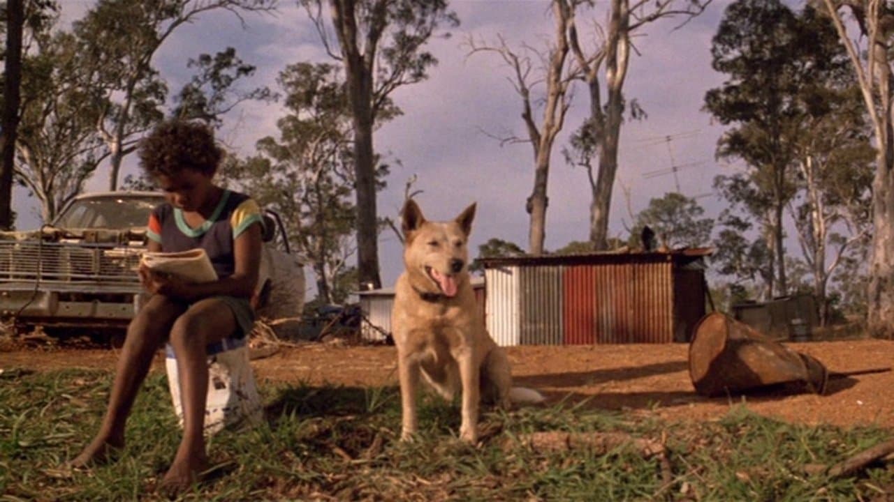 Aux frontières de la ville