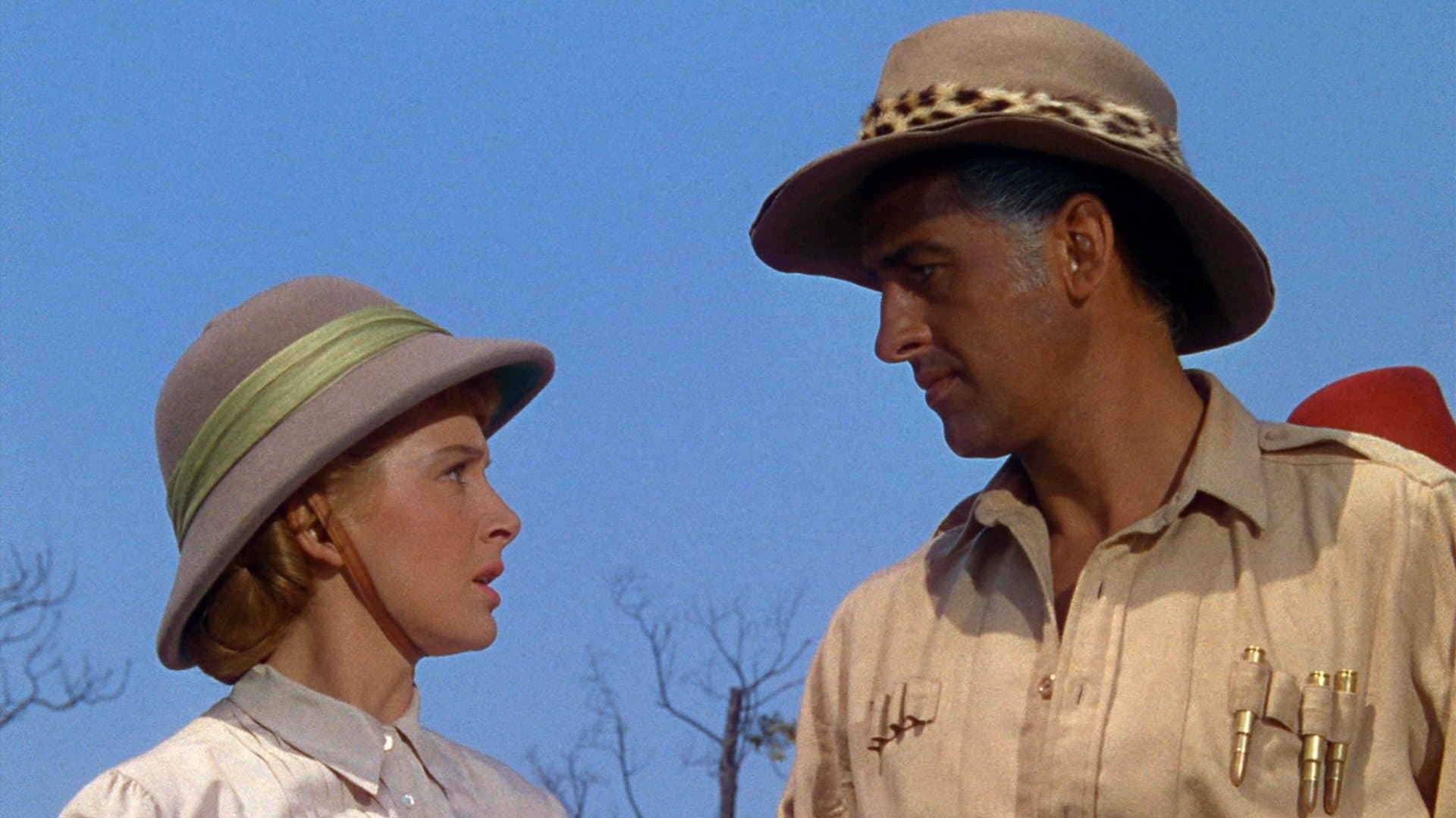 Les mines du roi Salomon