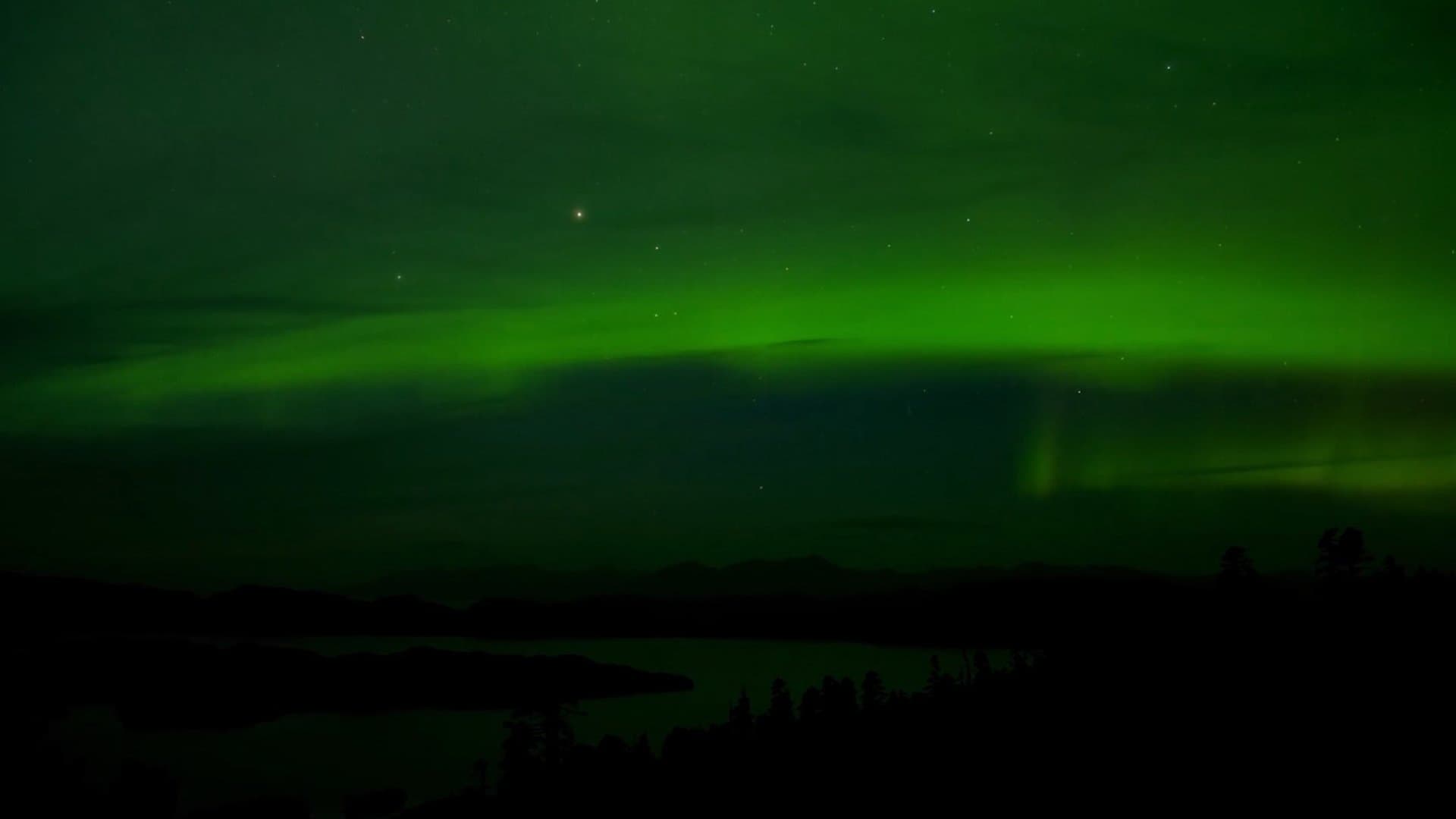 Entre ciel et terre : Une autre vision de la chasse