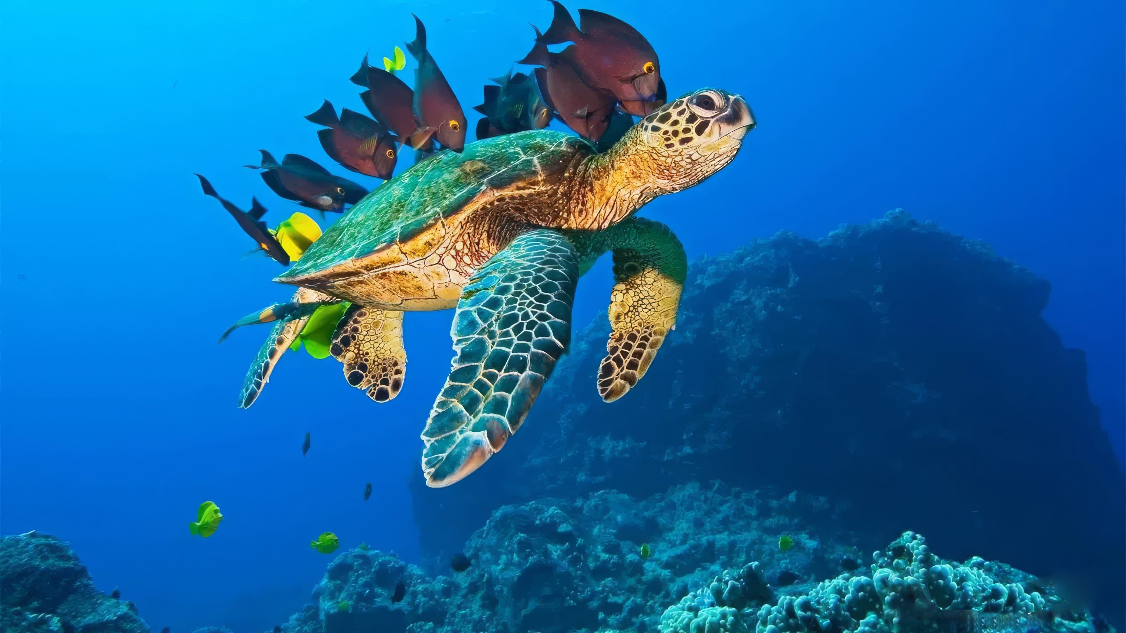 Voyage sous les mers 3D