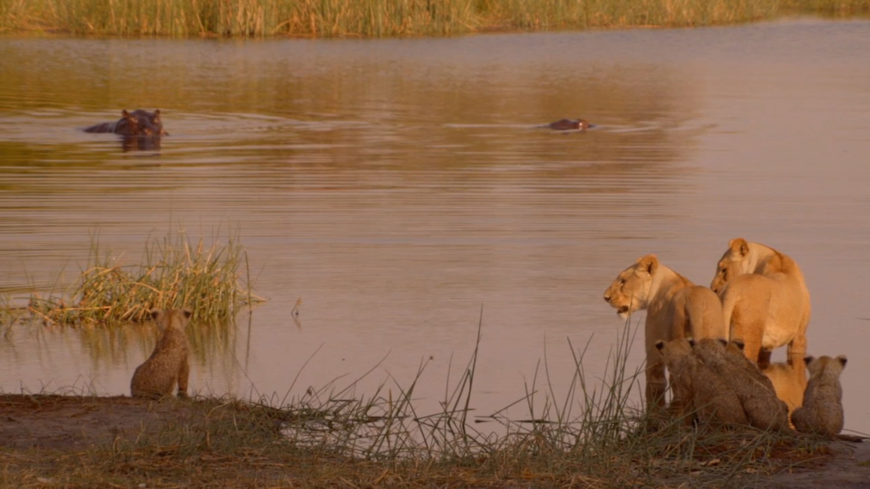 La naissance d'un clan