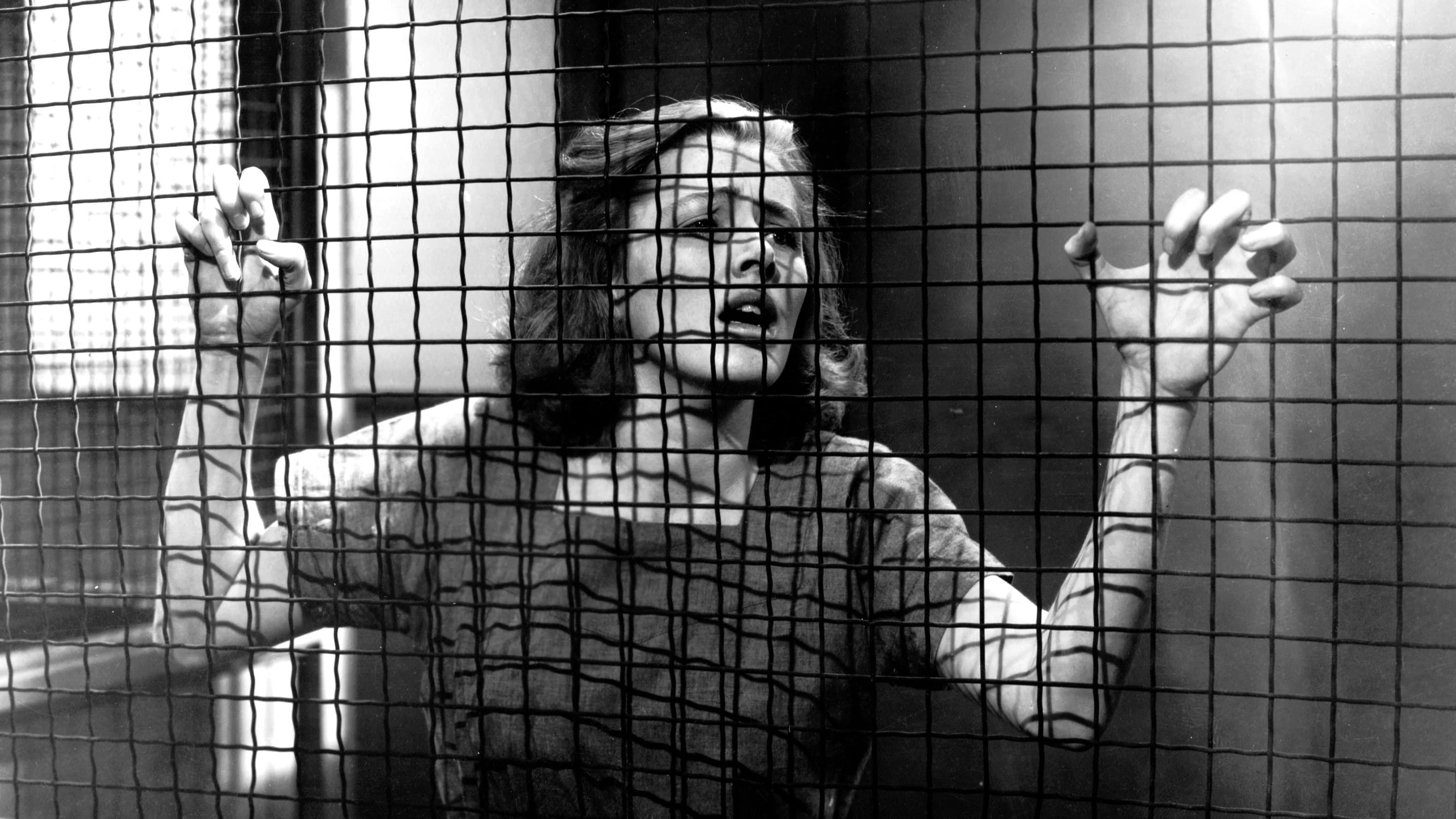 Femmes en cage
