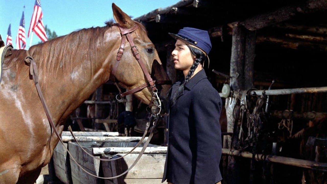 Tonka, cheval sauvage