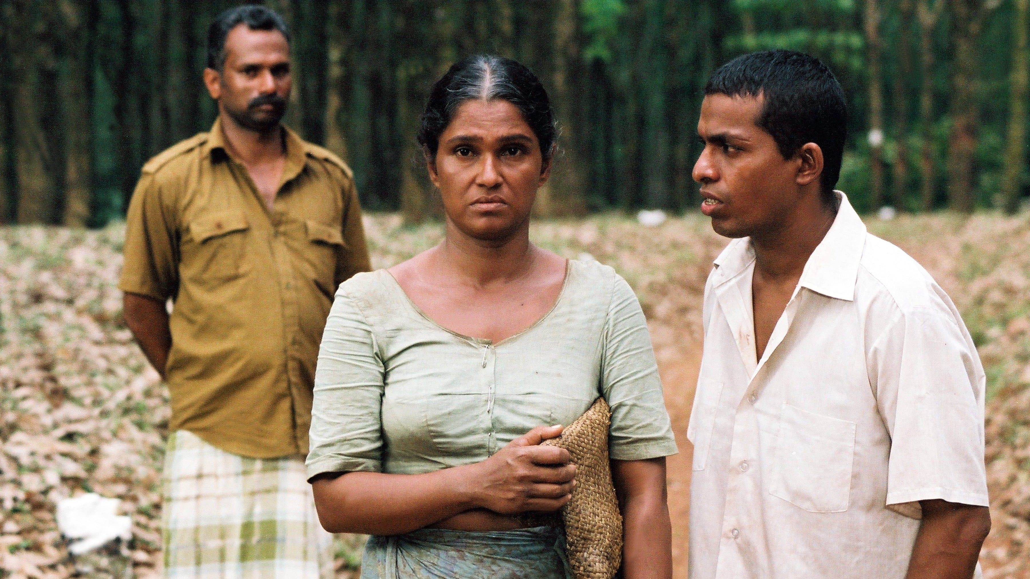 සැමීගේ කතාව