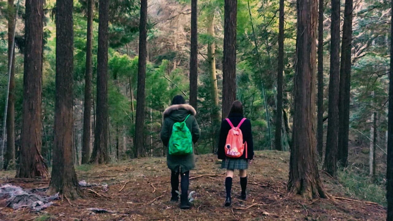 ﾌｼﾞｼﾞｭｶｲ ﾄﾞｯﾄ ｴﾑｵｰﾌﾞｲ