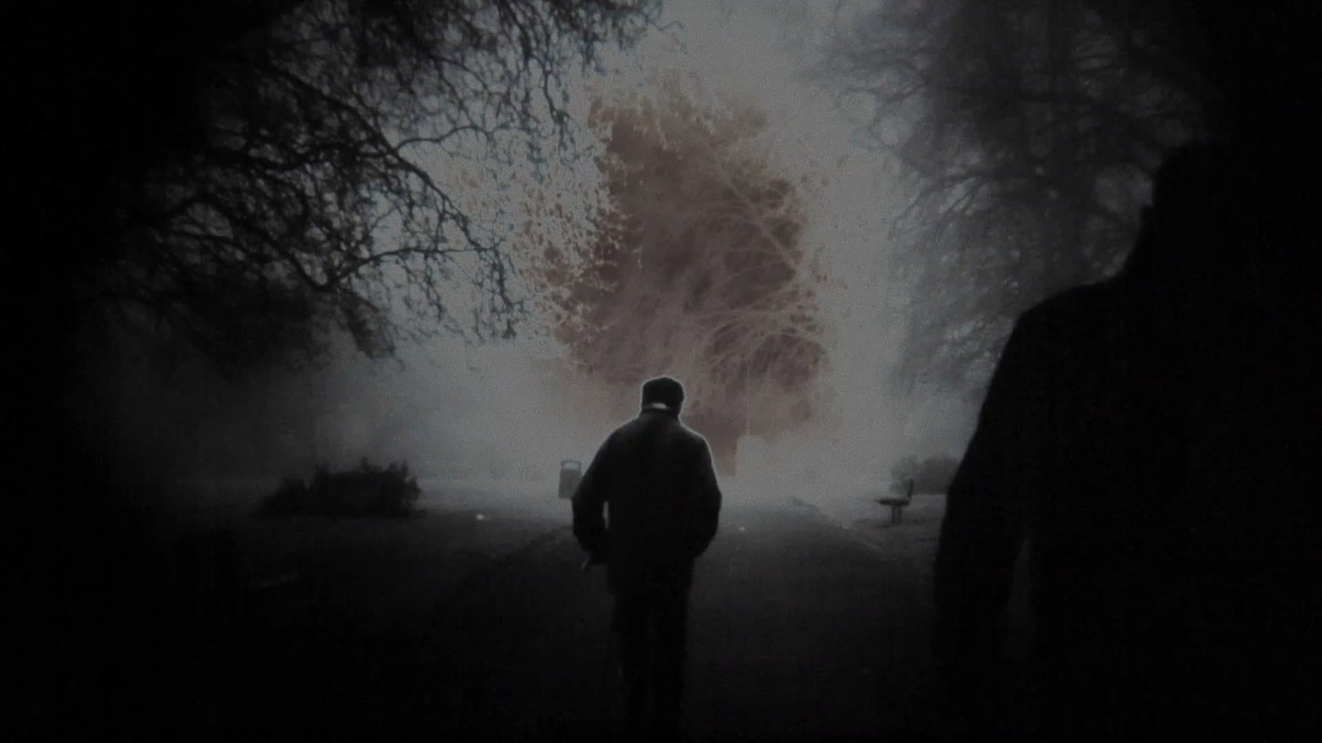 Ten Years In The Sun