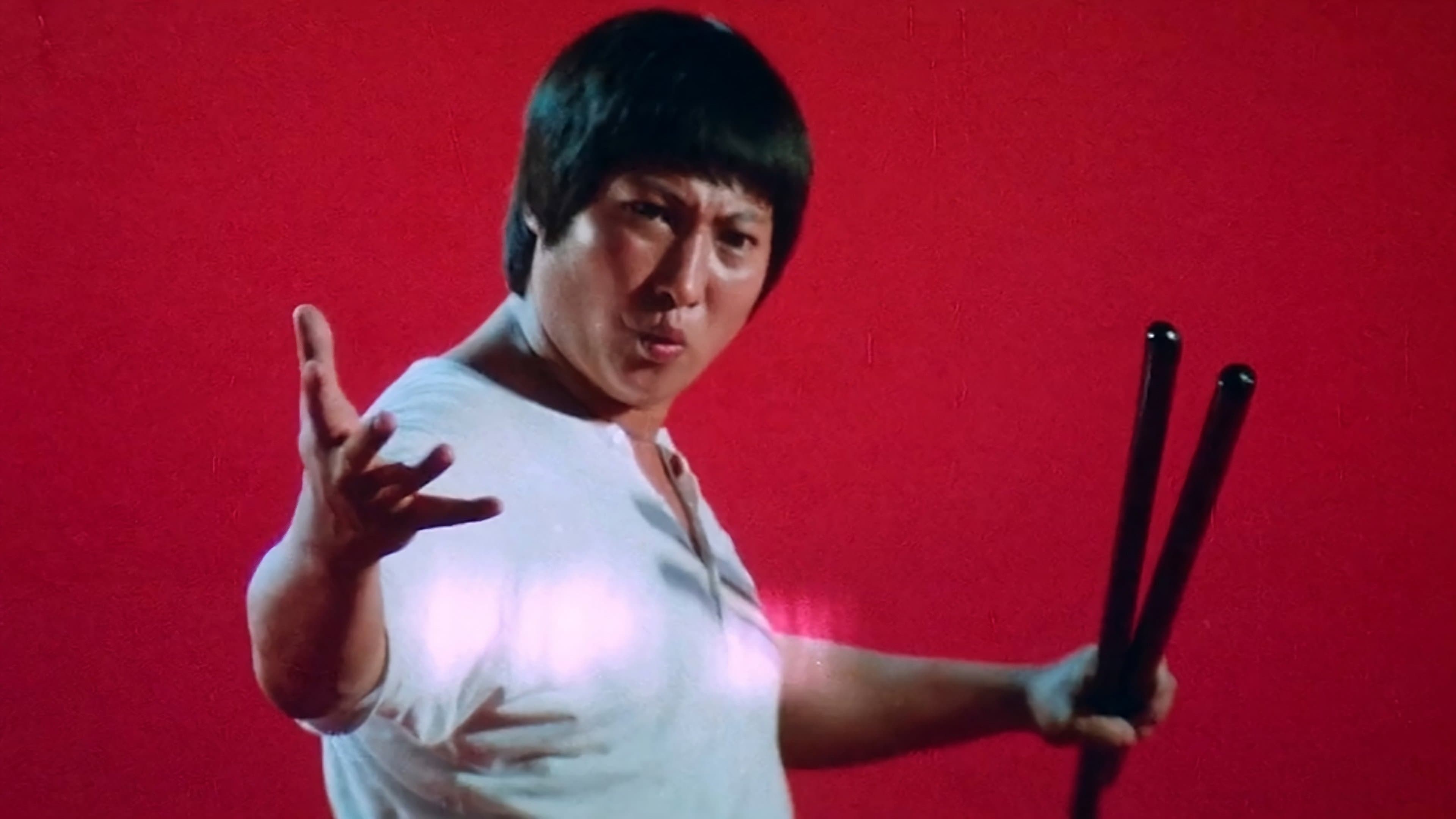 Enter the Fat Dragon