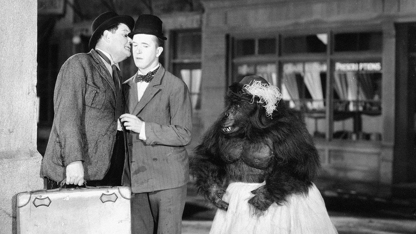 Prenez garde au lion