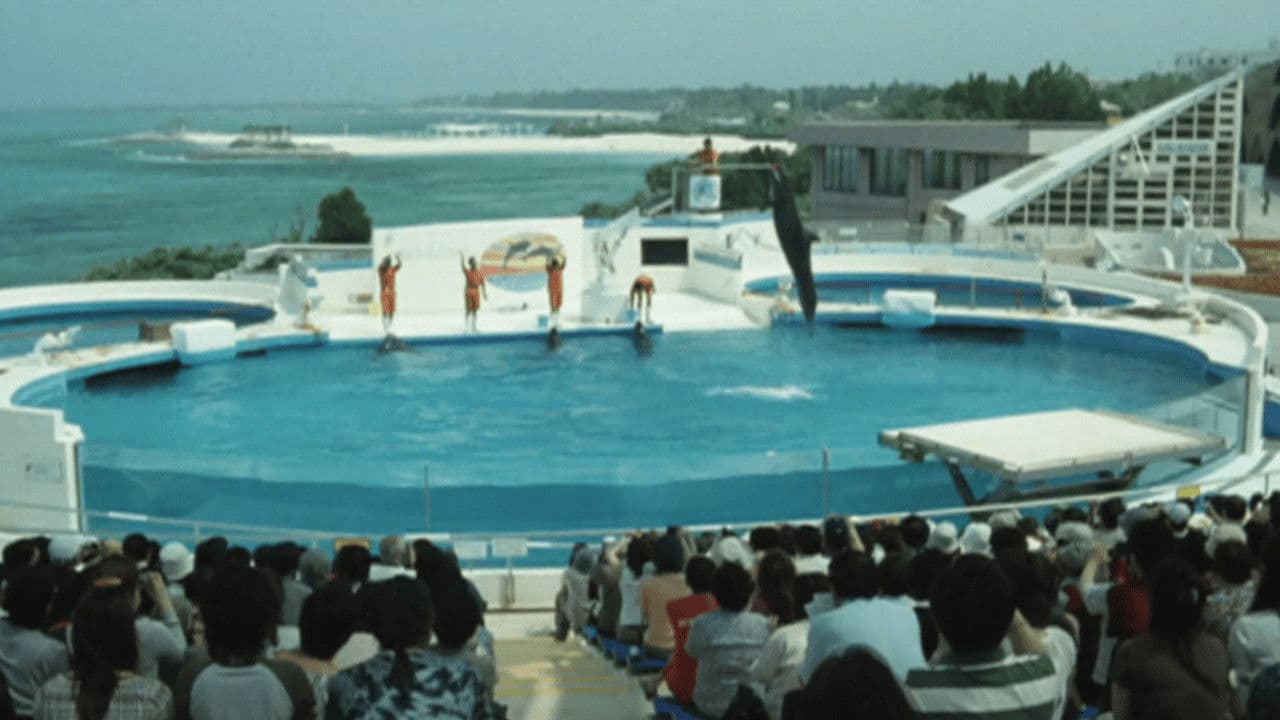 Dolphin blue : Fuji, mou ichido sora e