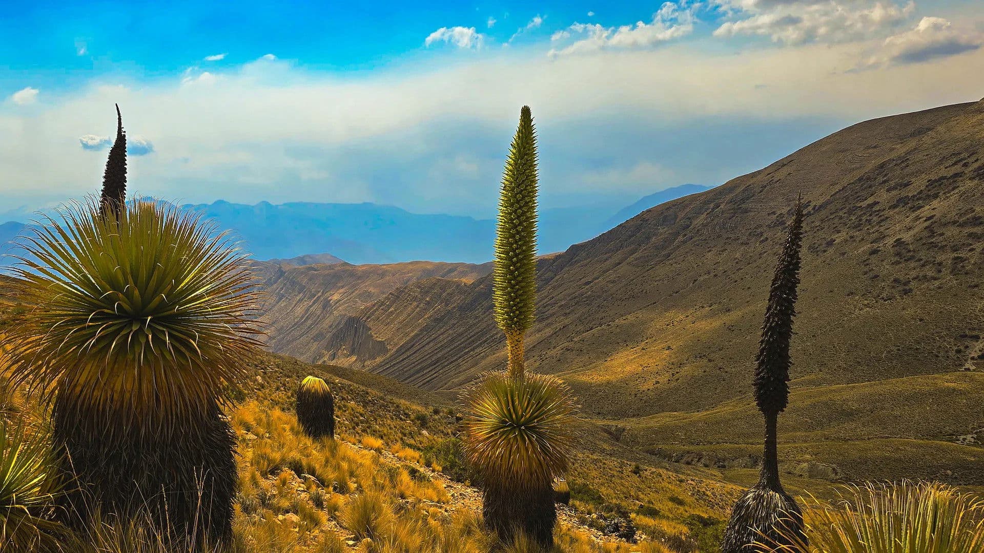 Les écrins sauvages de la nature